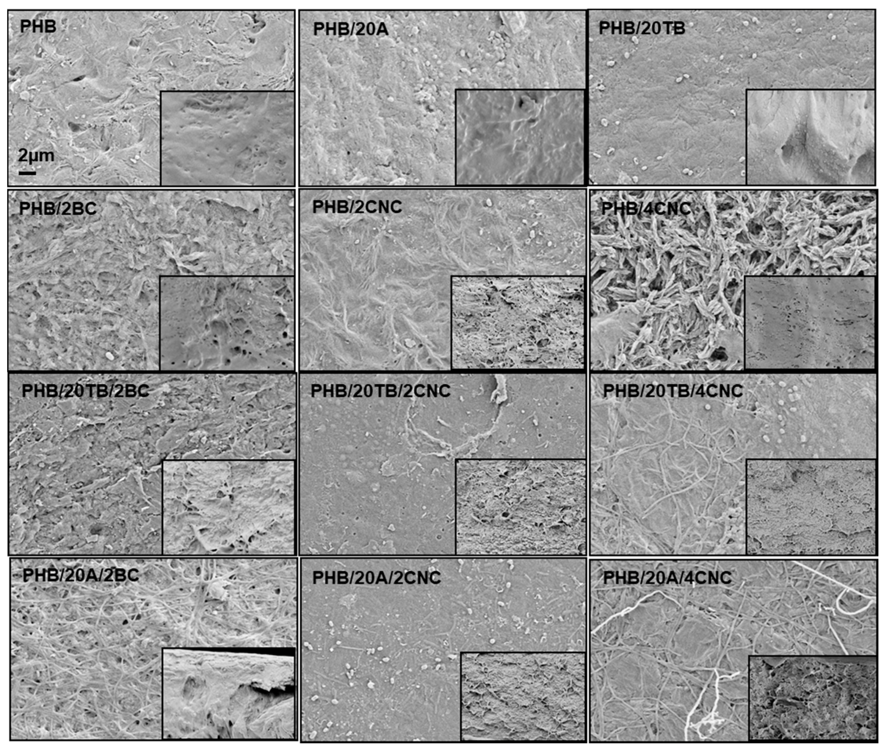 Polymers 09 00561 g009