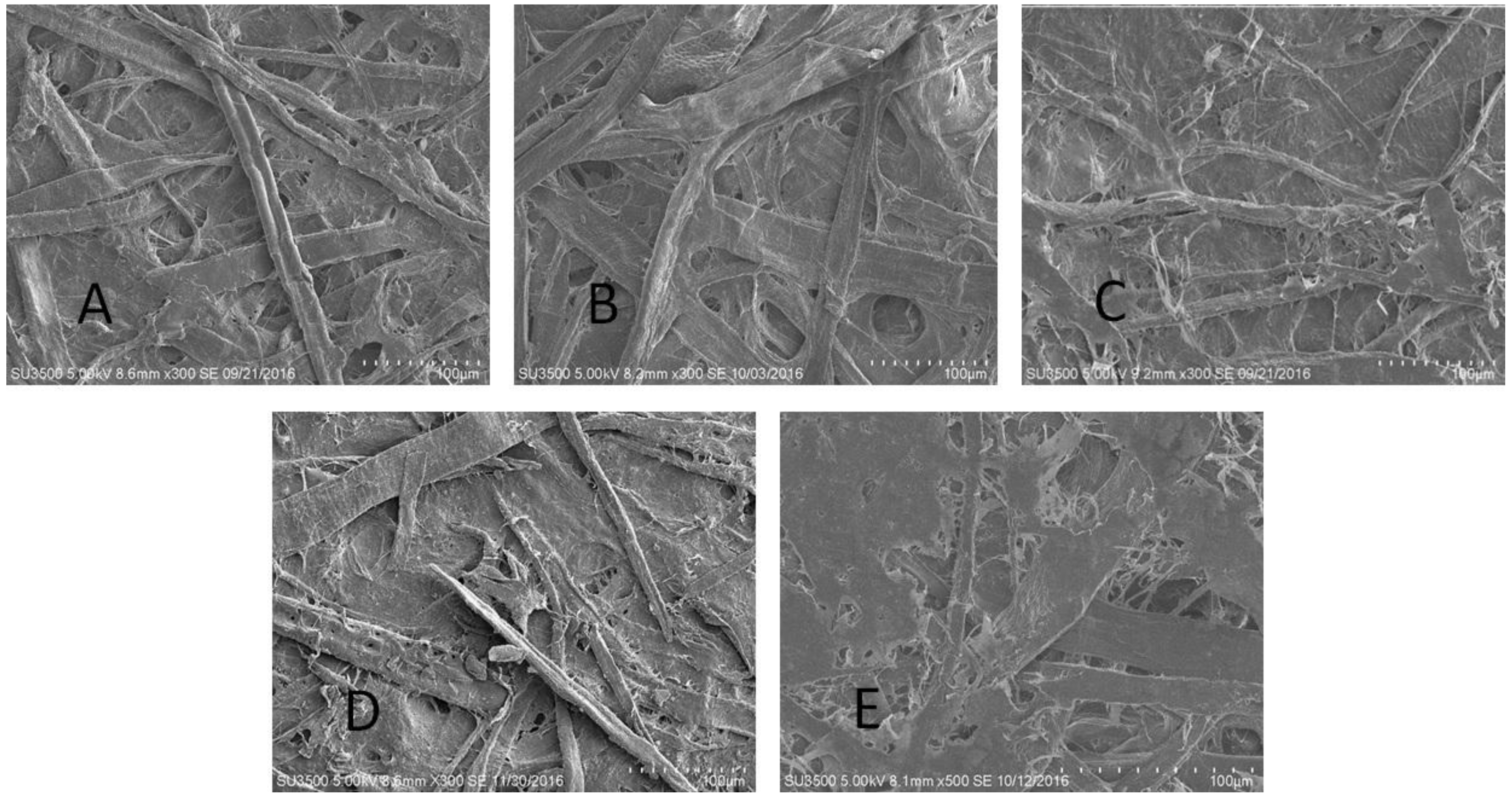 Polymers 09 00570 g001 Polymers 09 00570 g001