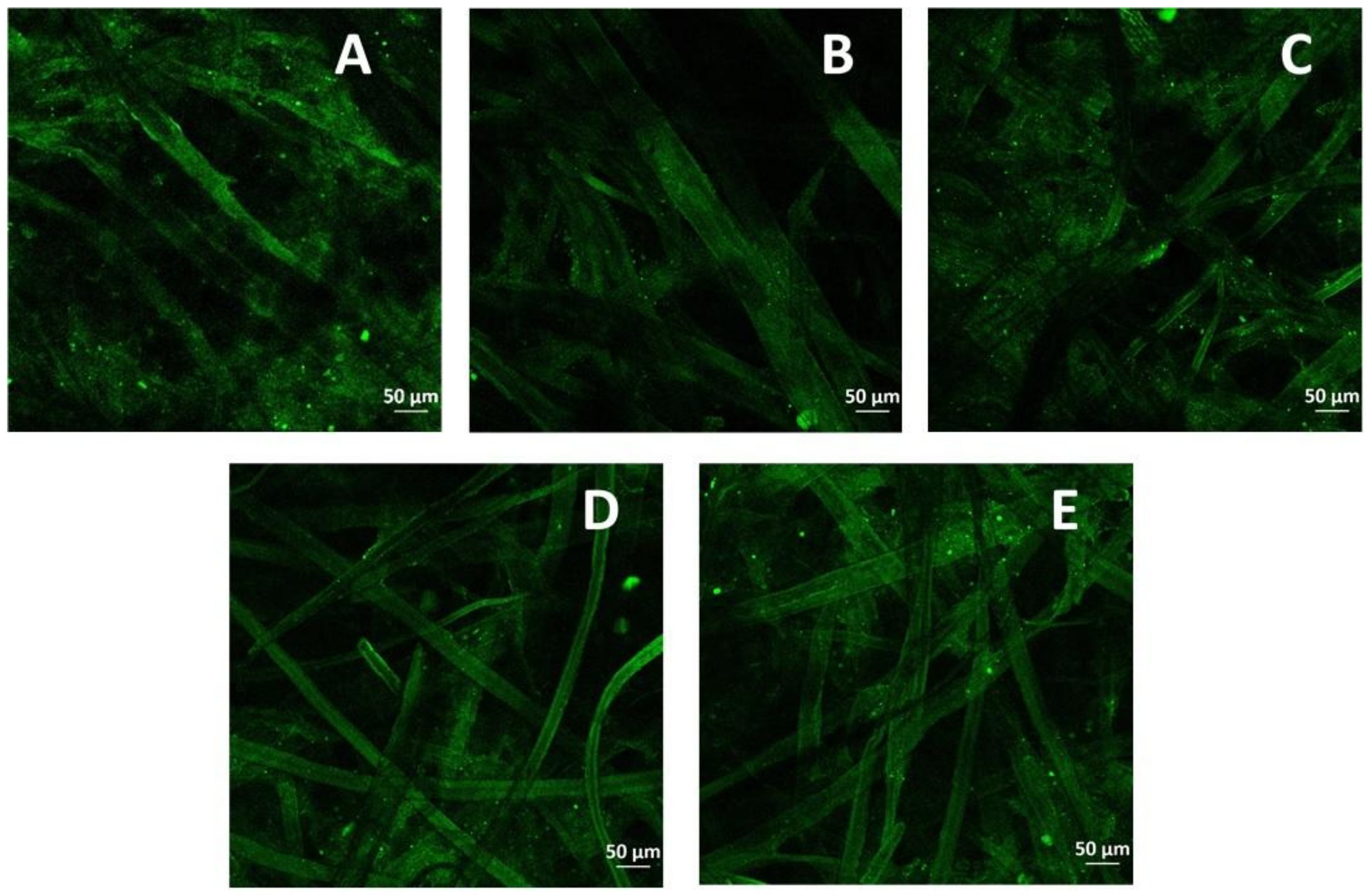 Polymers 09 00570 g002 Polymers 09 00570 g002