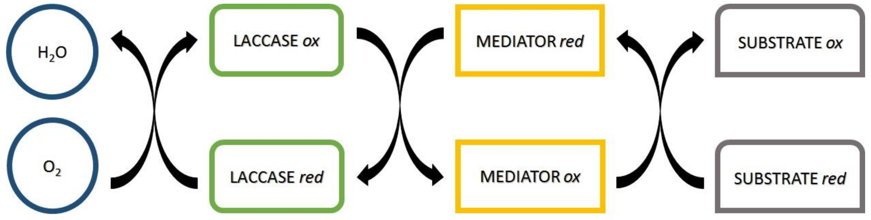Polymers 09 00570 sch001 Polymers 09 00570 sch001