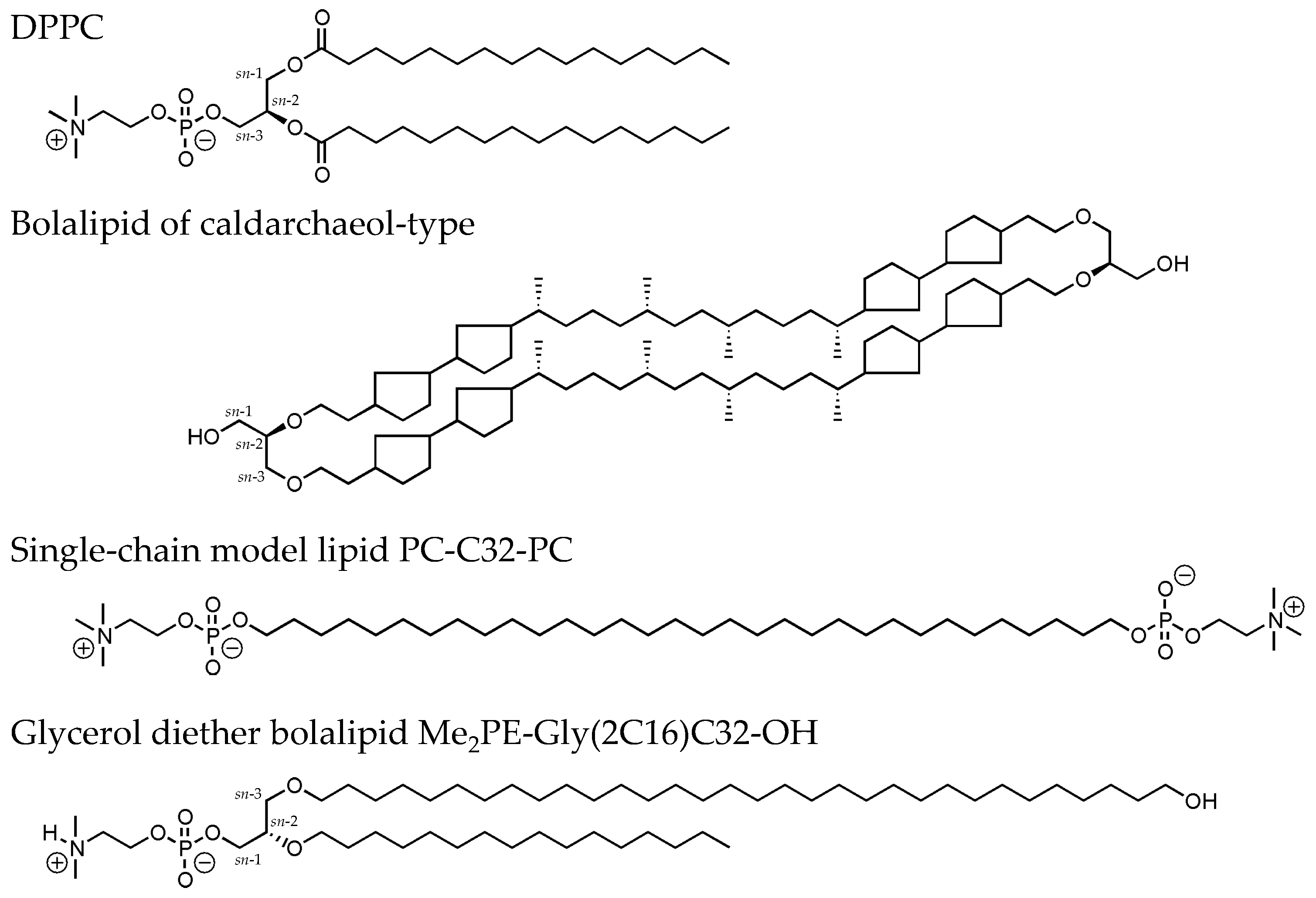 Polymers 09 00573 g001