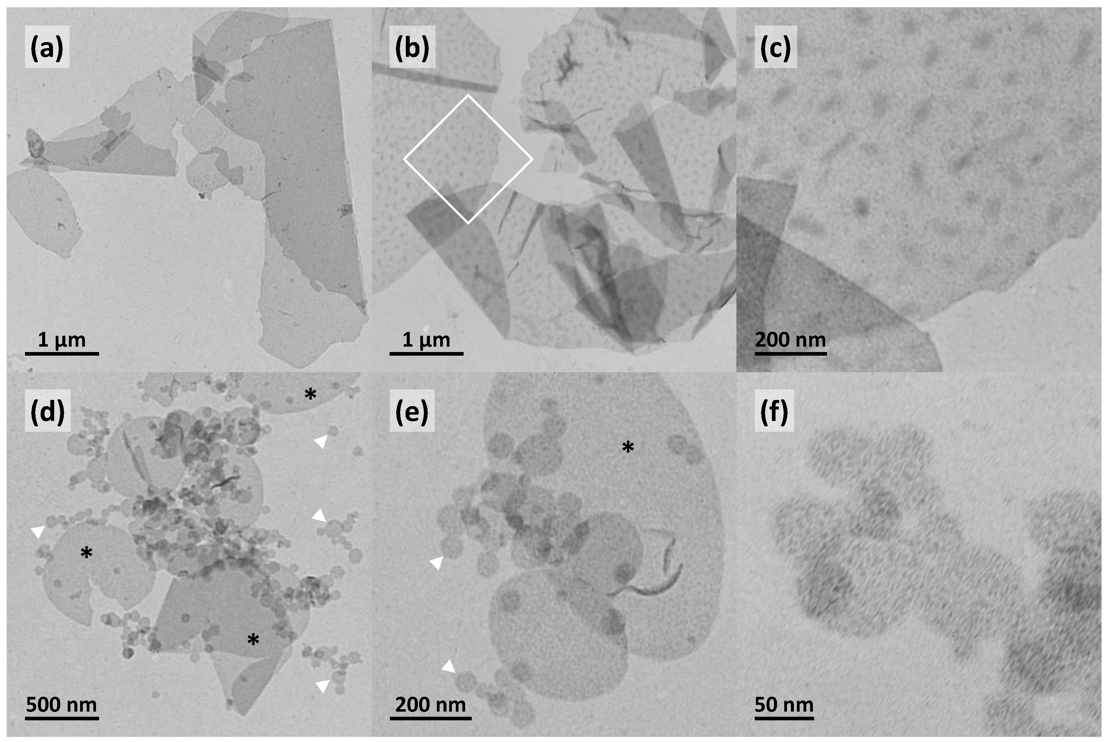Polymers 09 00573 g005