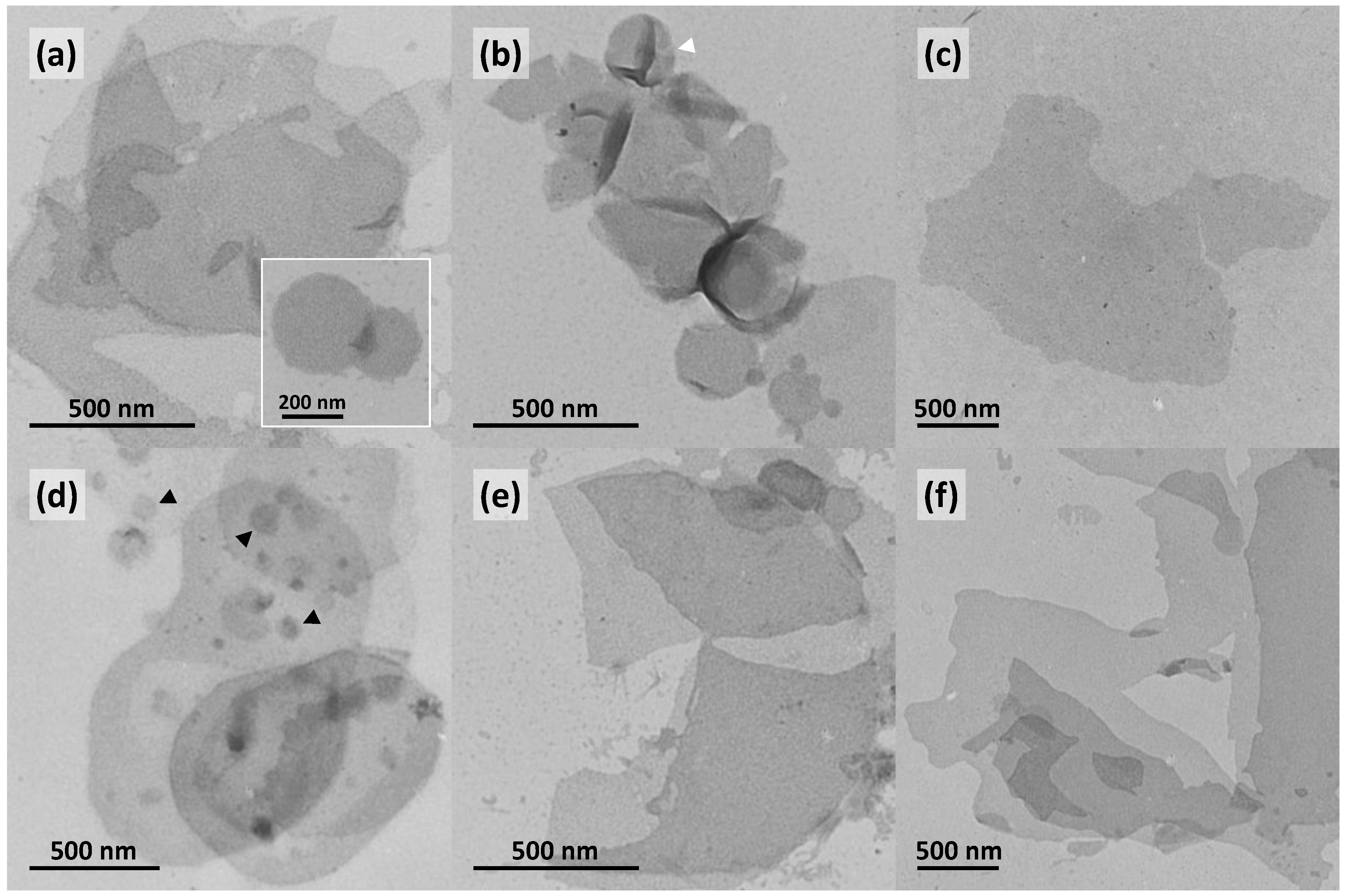 Polymers 09 00573 g008