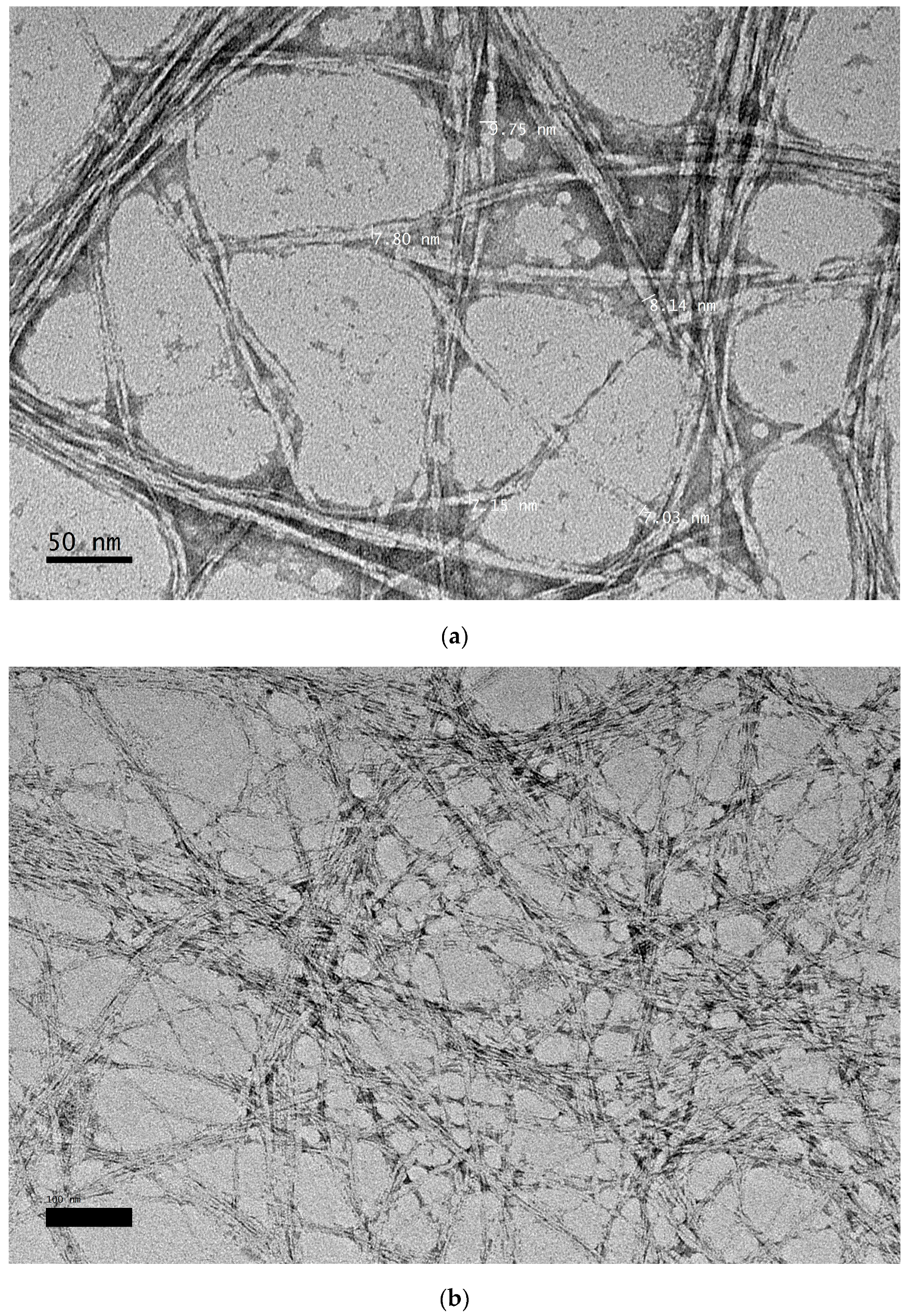 Polymers 09 00588 g005
