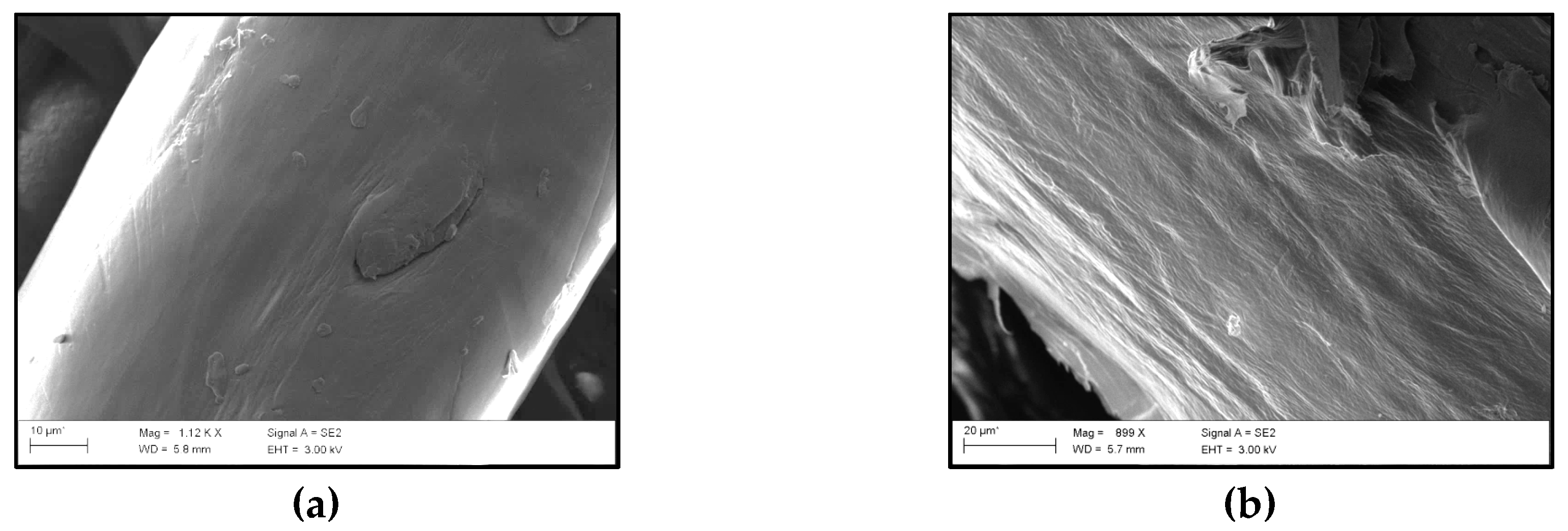 Polymers 09 00593 g009a