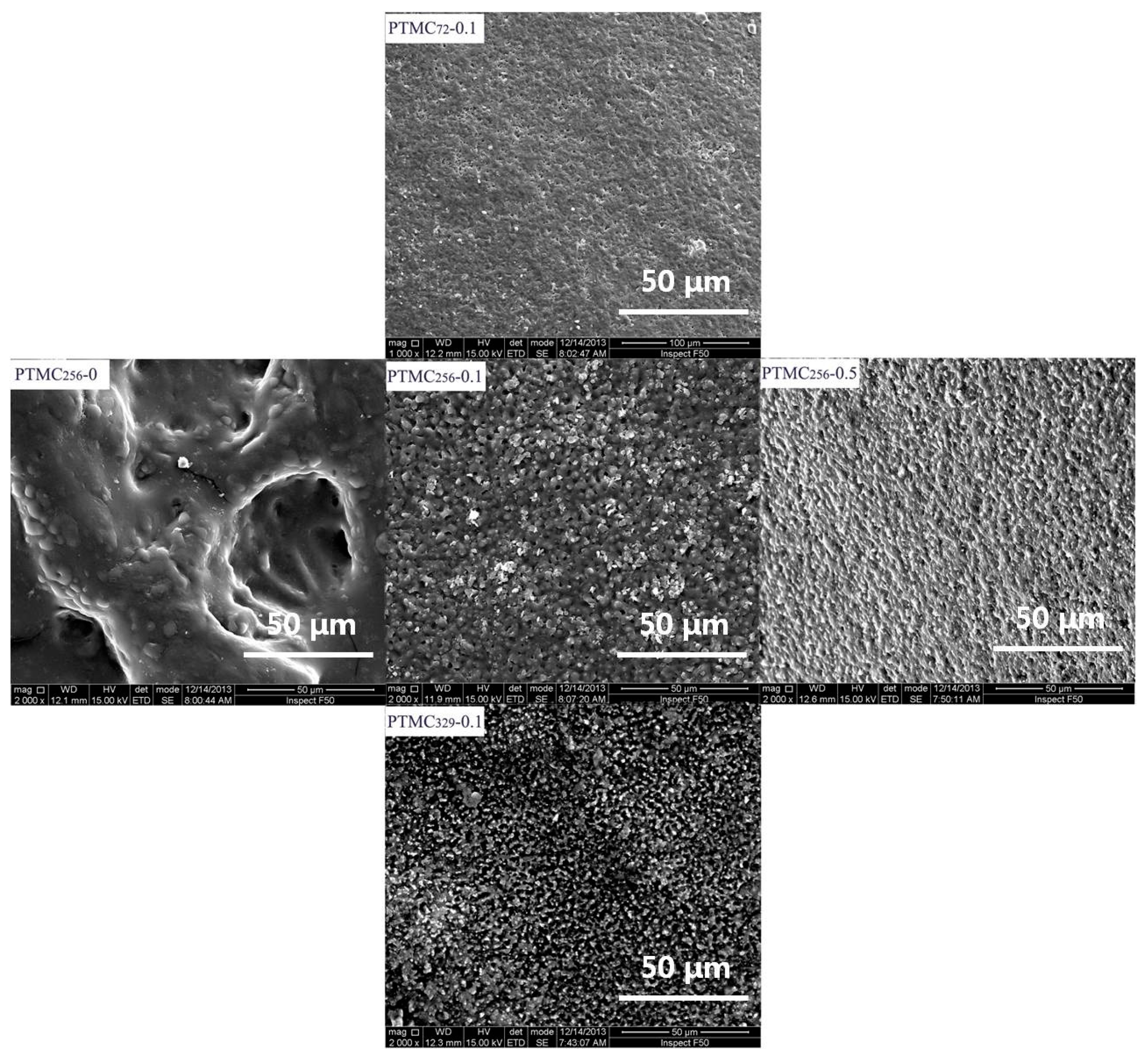 Polymers 09 00605 g006