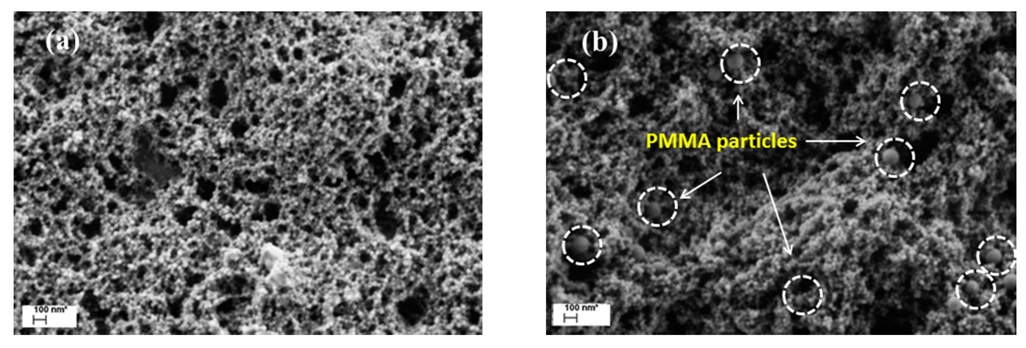 Polymers 09 00619 g004