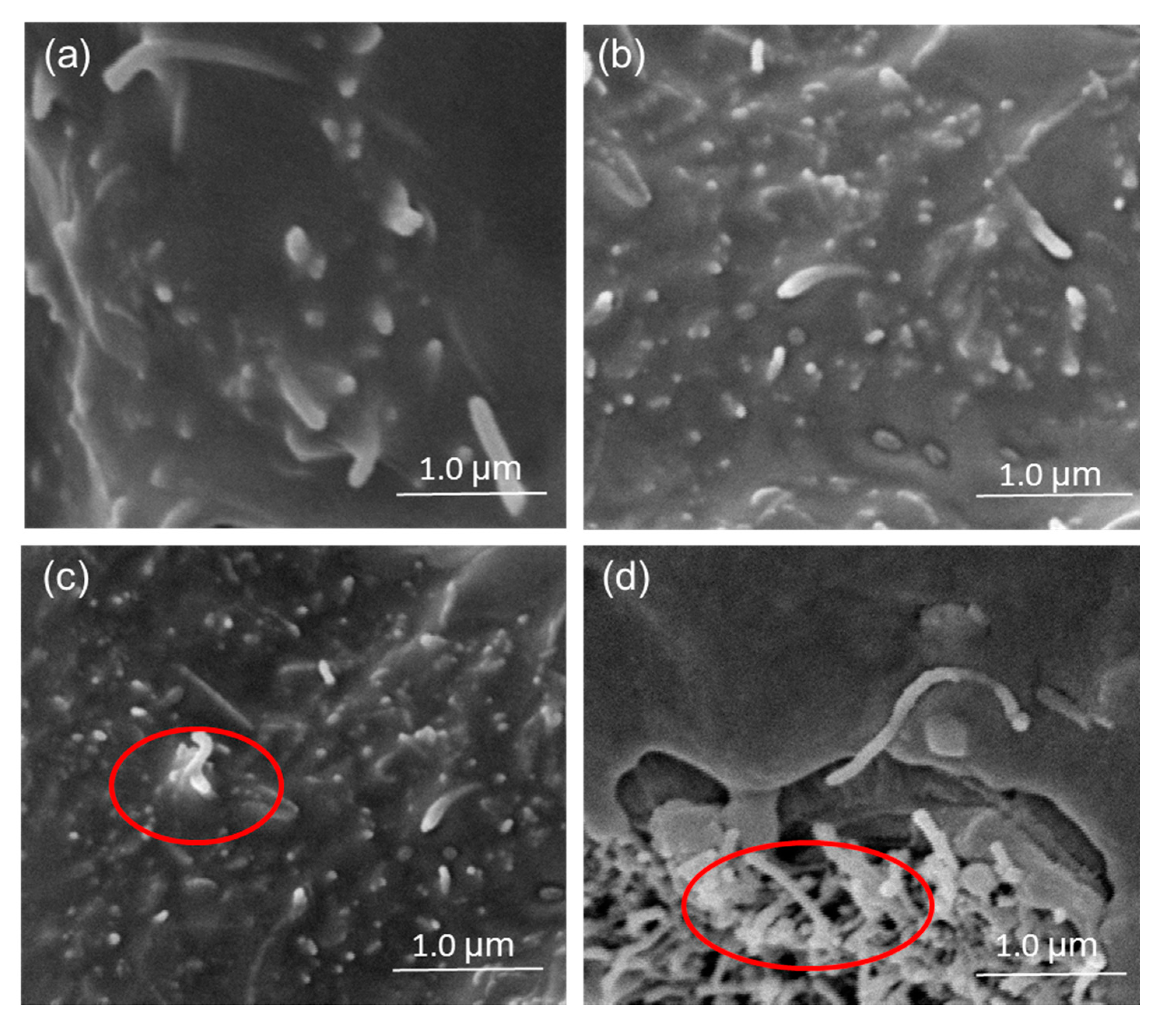 Polymers 09 00620 g007