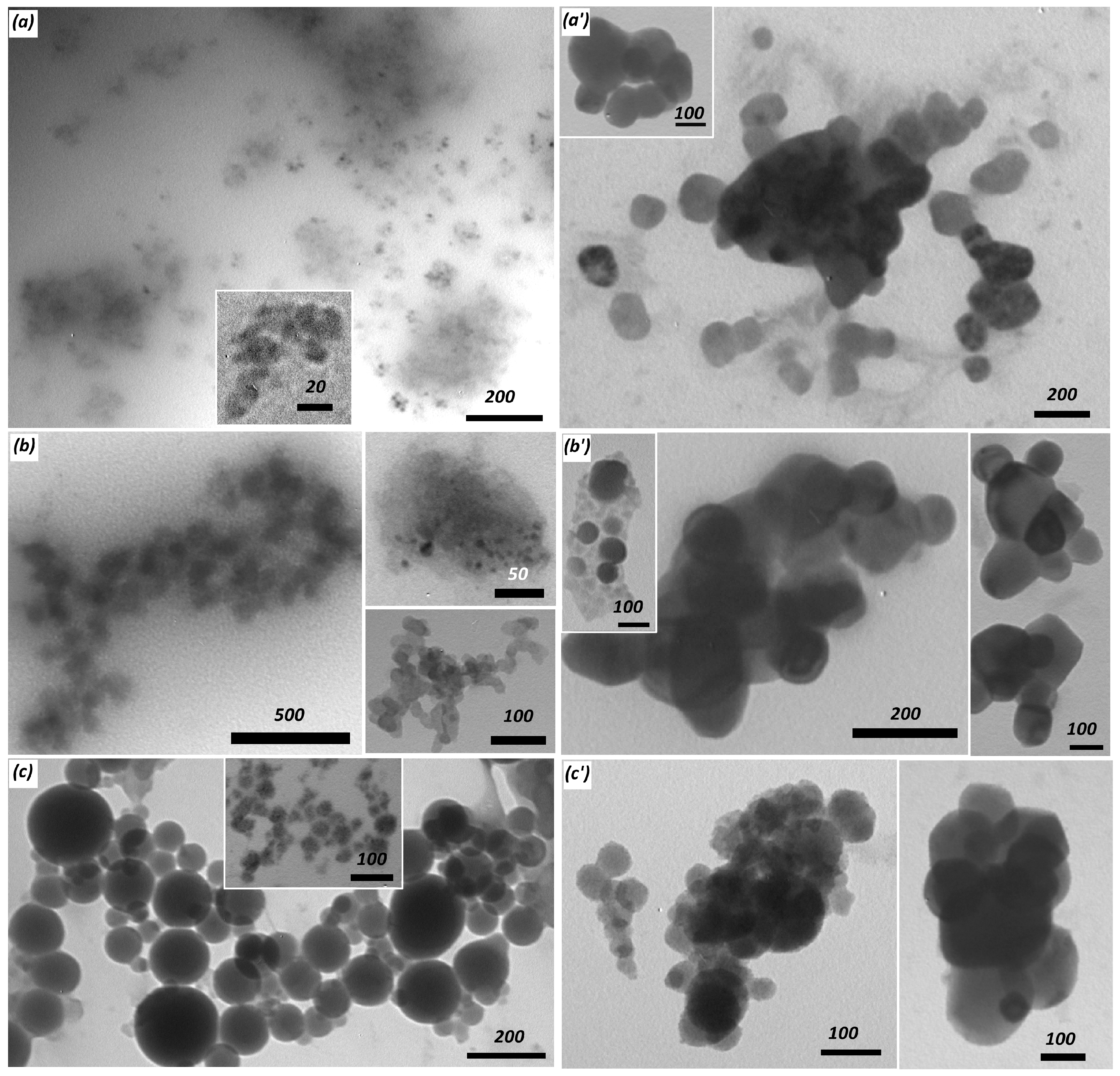 Polymers 09 00624 g010
