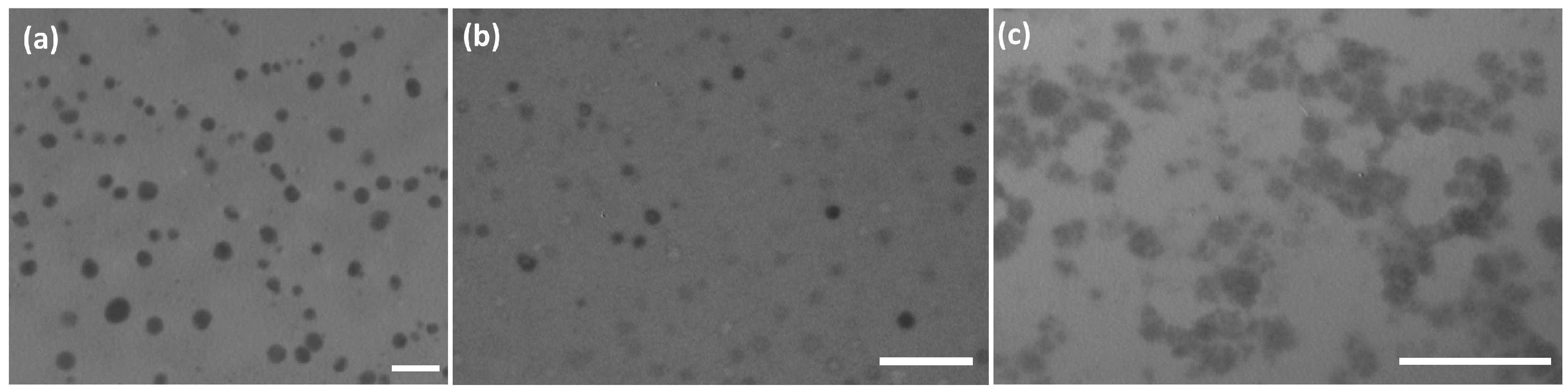 Polymers 09 00624 g011