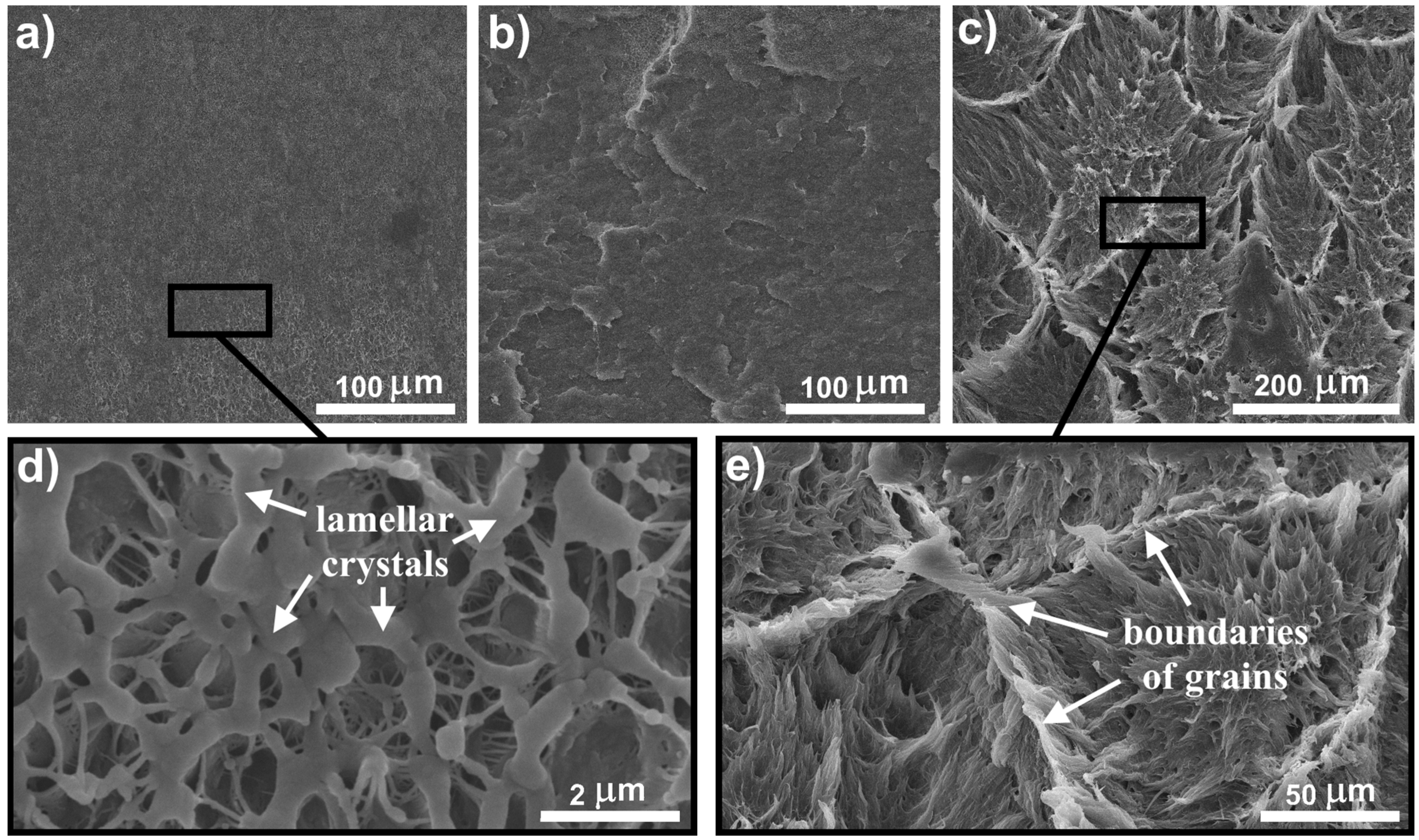 Polymers 09 00629 g001