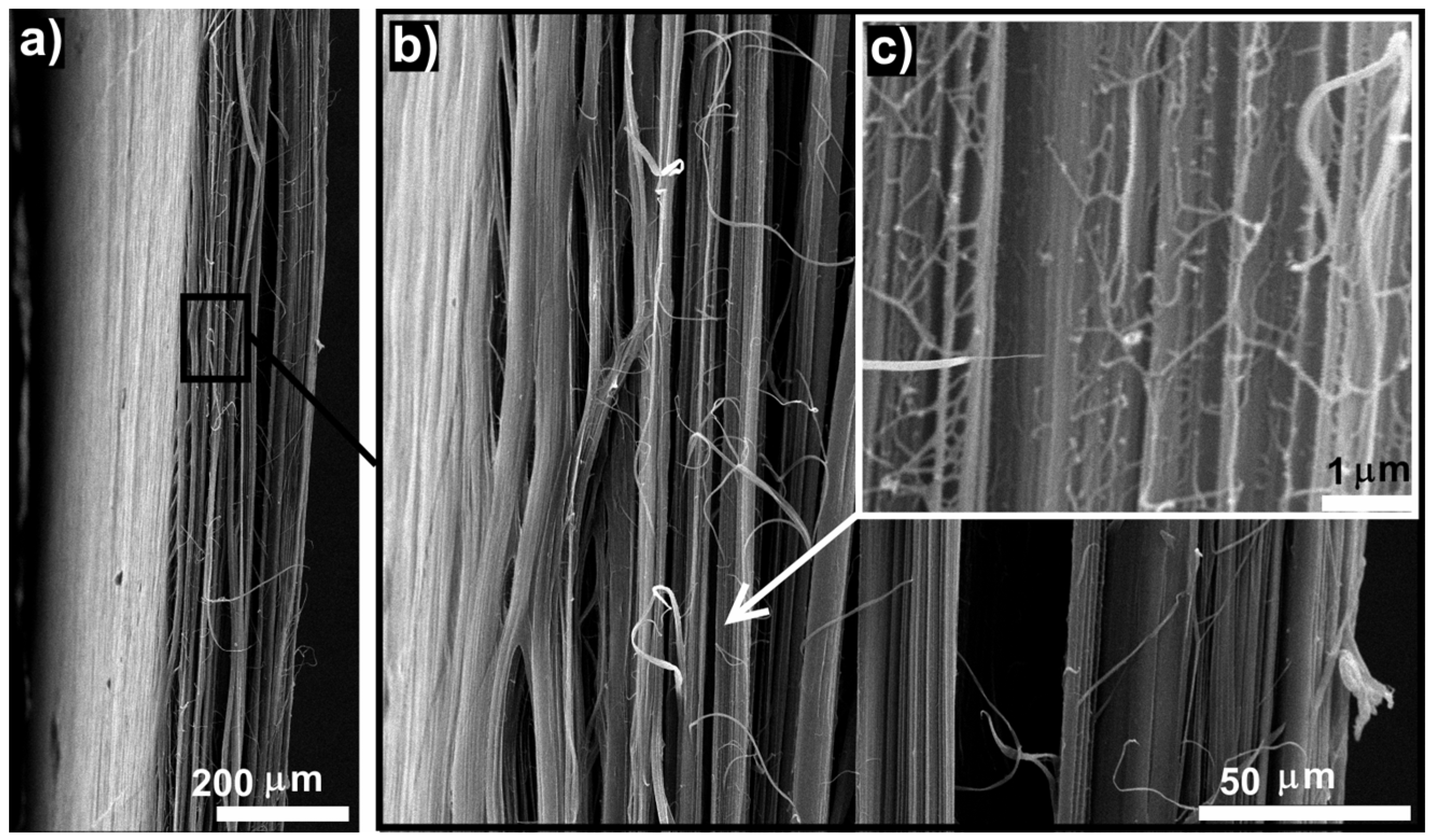 Polymers 09 00629 g004