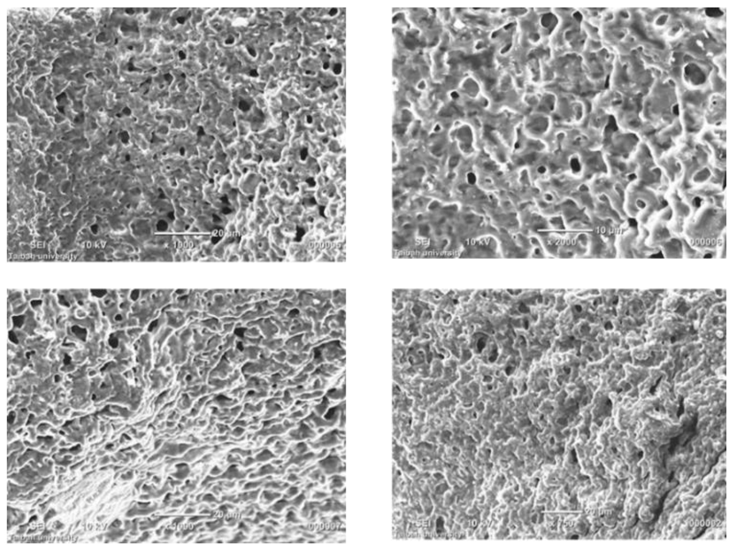 Polymers 09 00630 g003