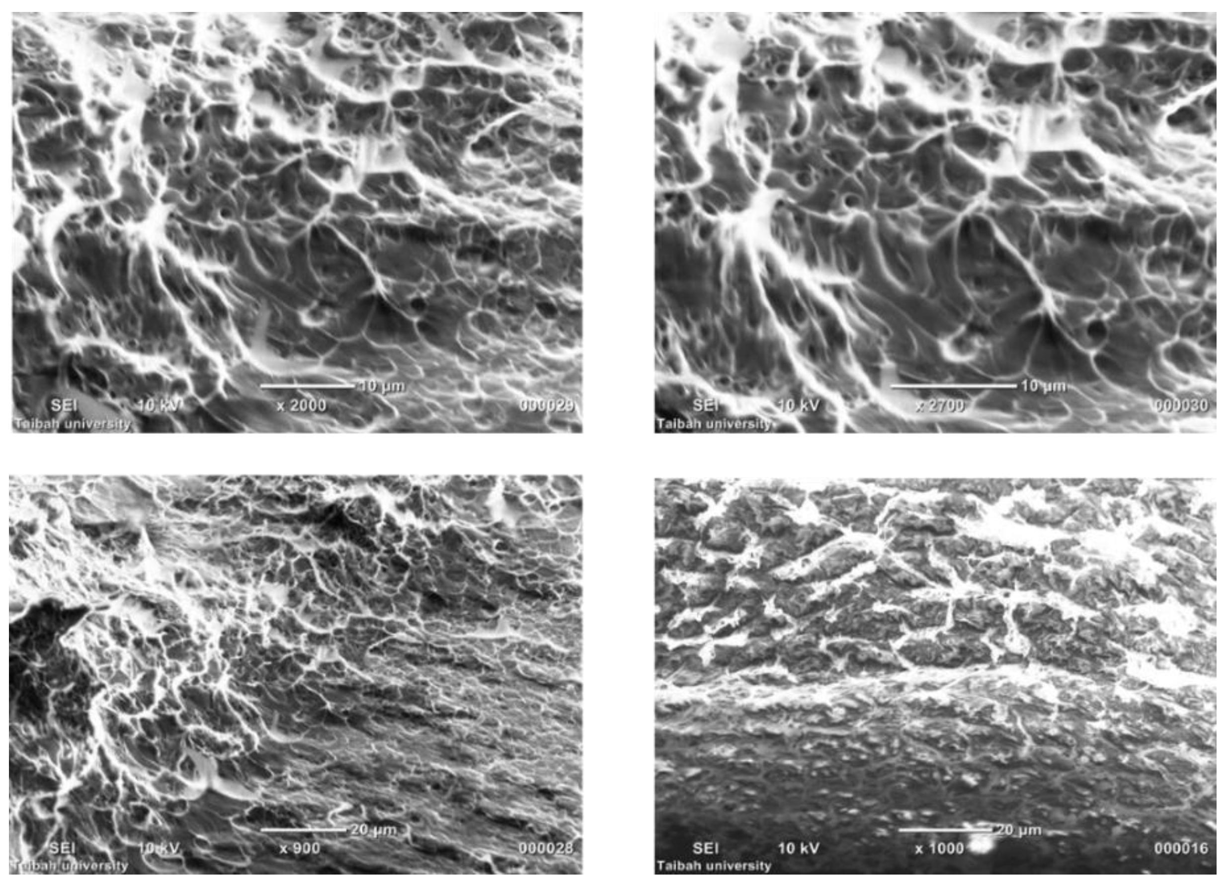 Polymers 09 00630 g004