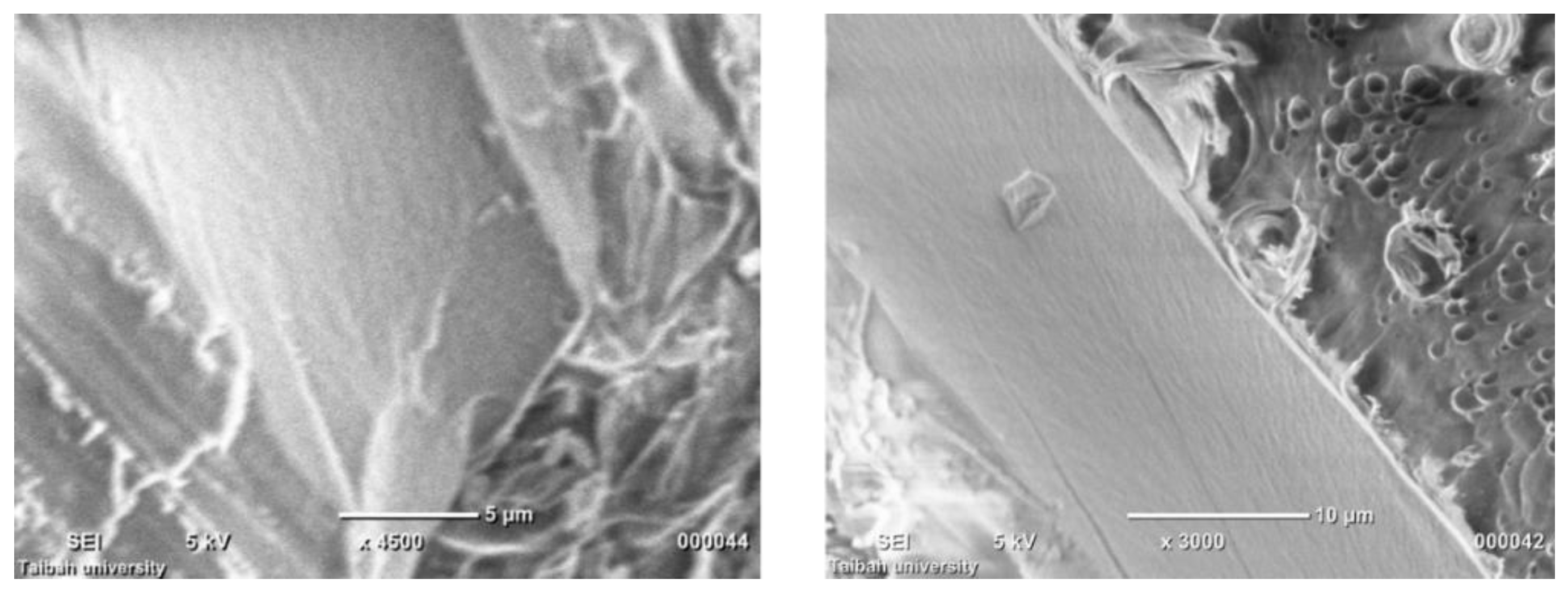 Polymers 09 00630 g005