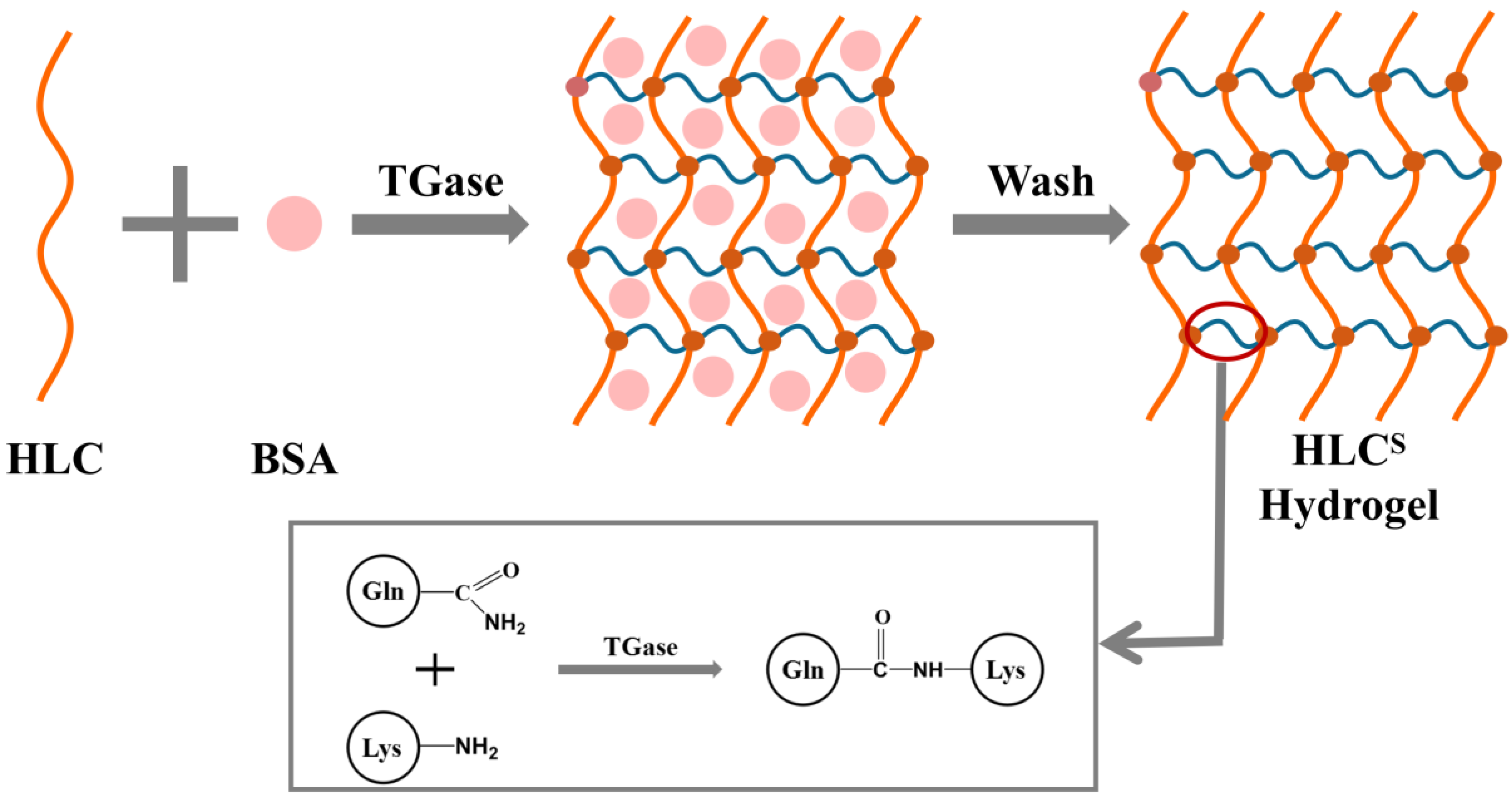 Polymers 09 00638 g001