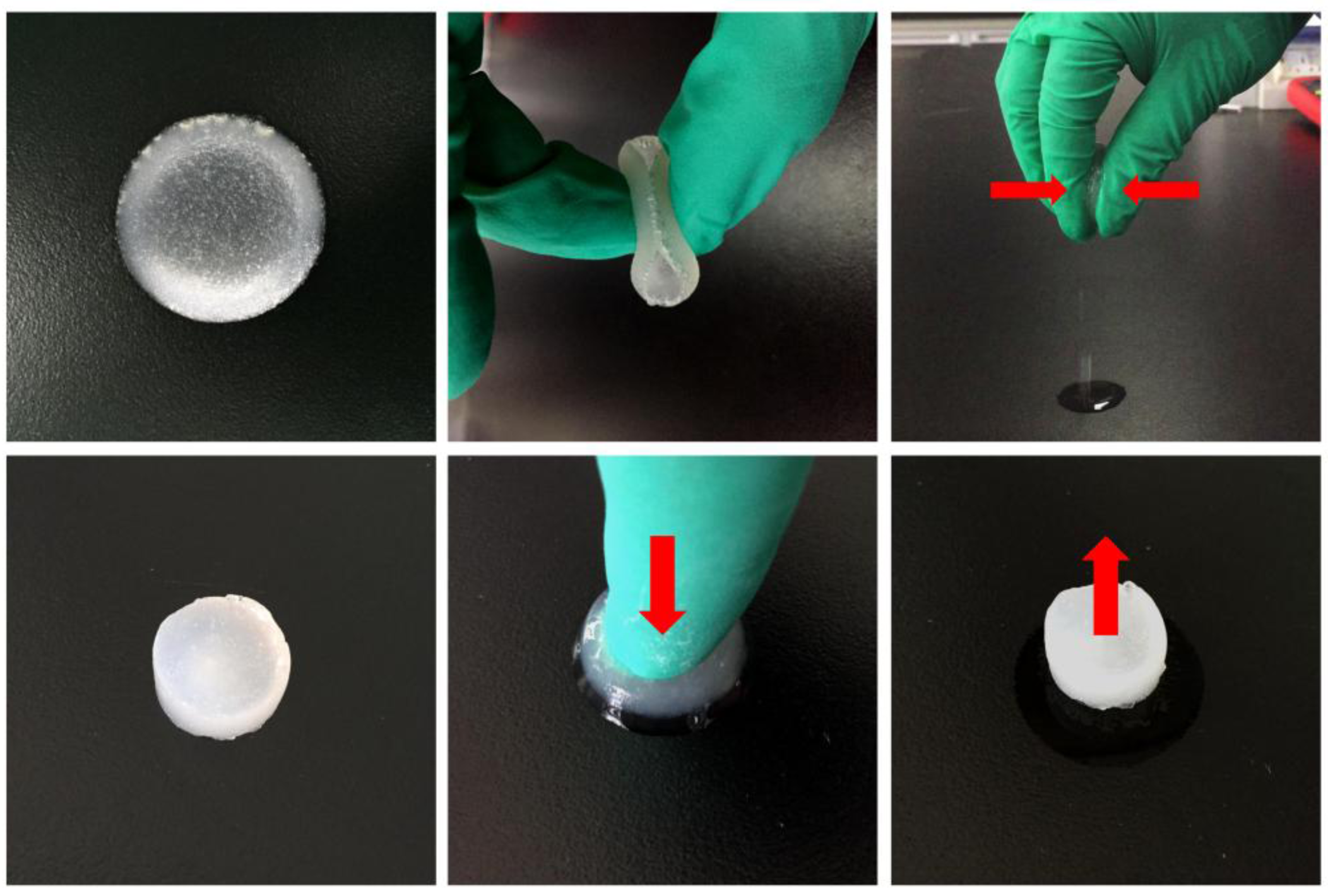 Polymers 09 00638 g003