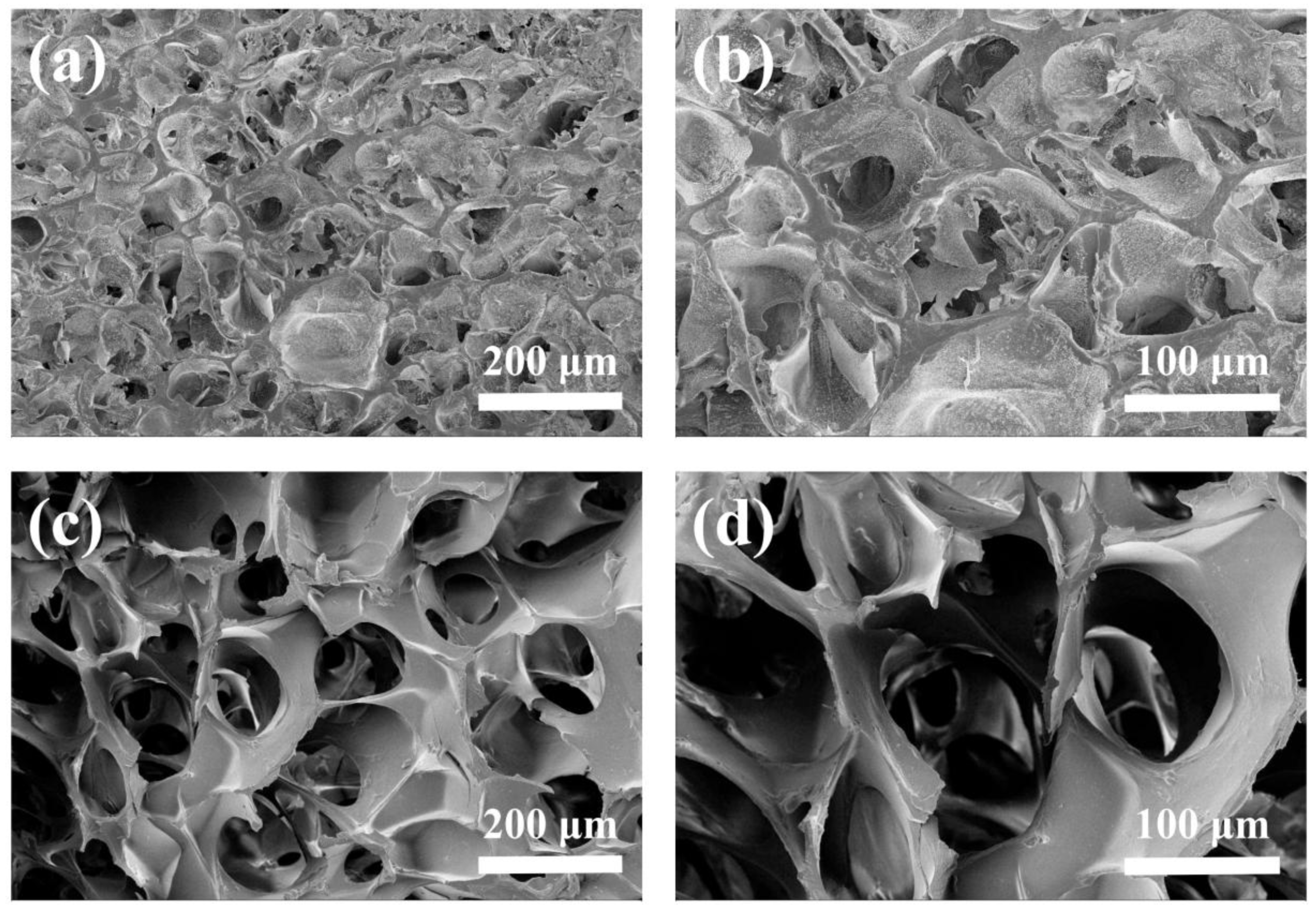 Polymers 09 00638 g004