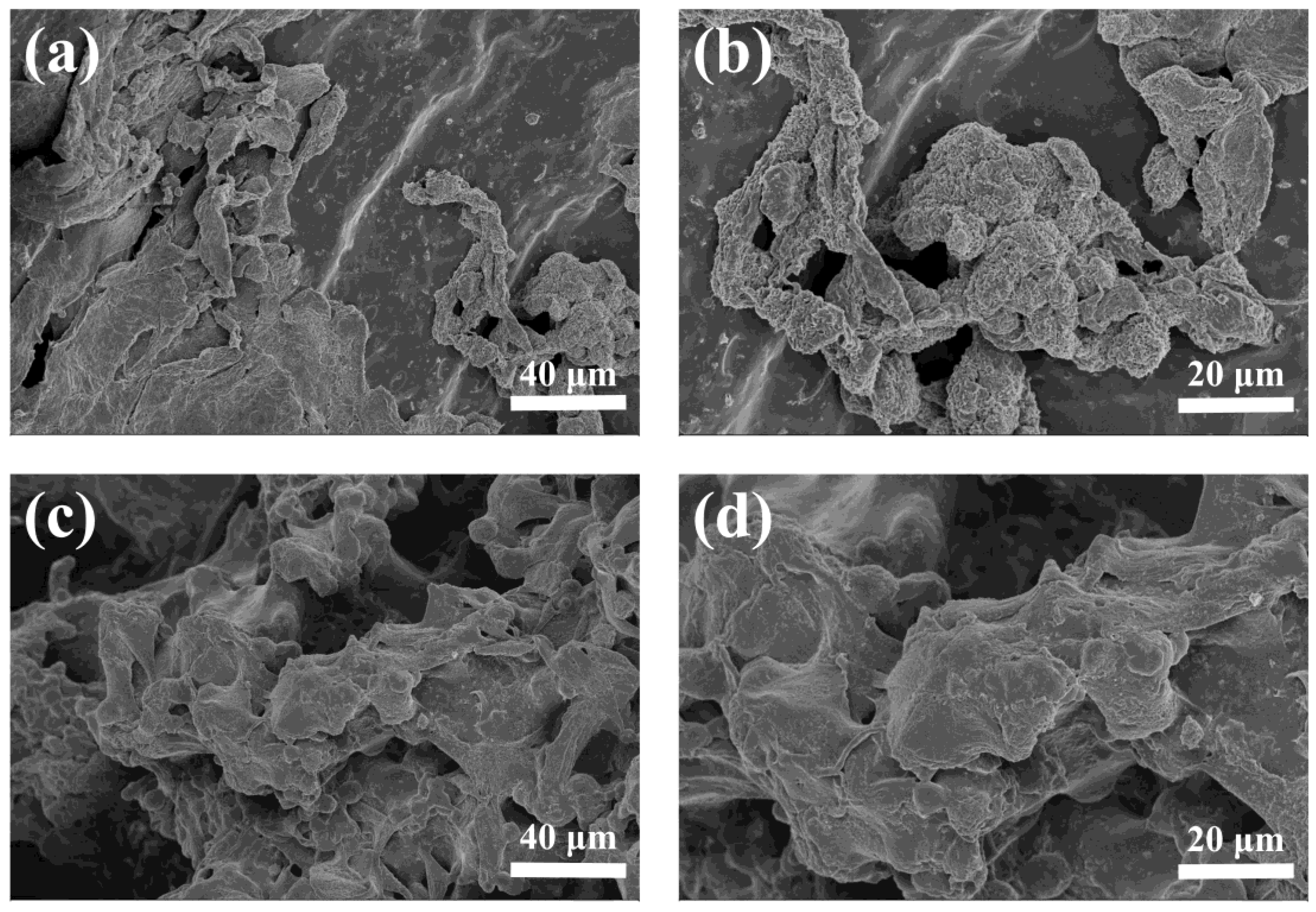 Polymers 09 00638 g010