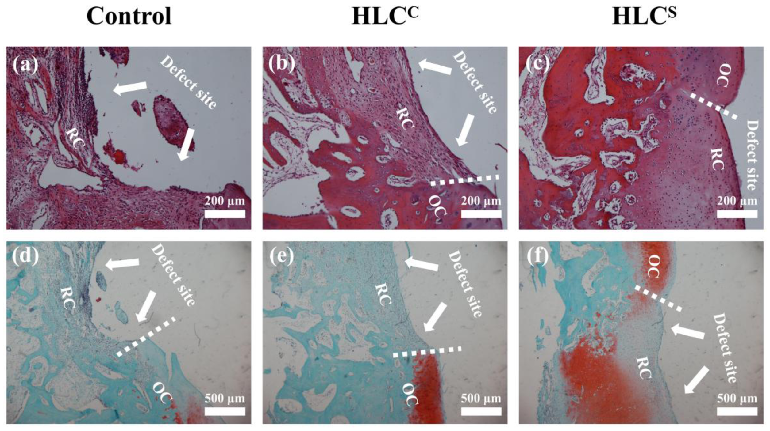 Polymers 09 00638 g012