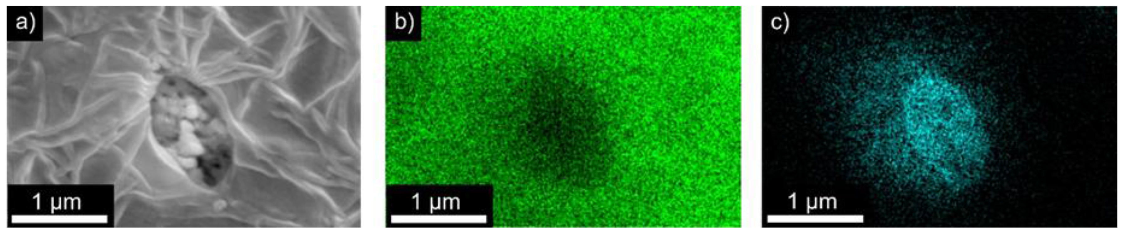 Polymers 09 00650 g003
