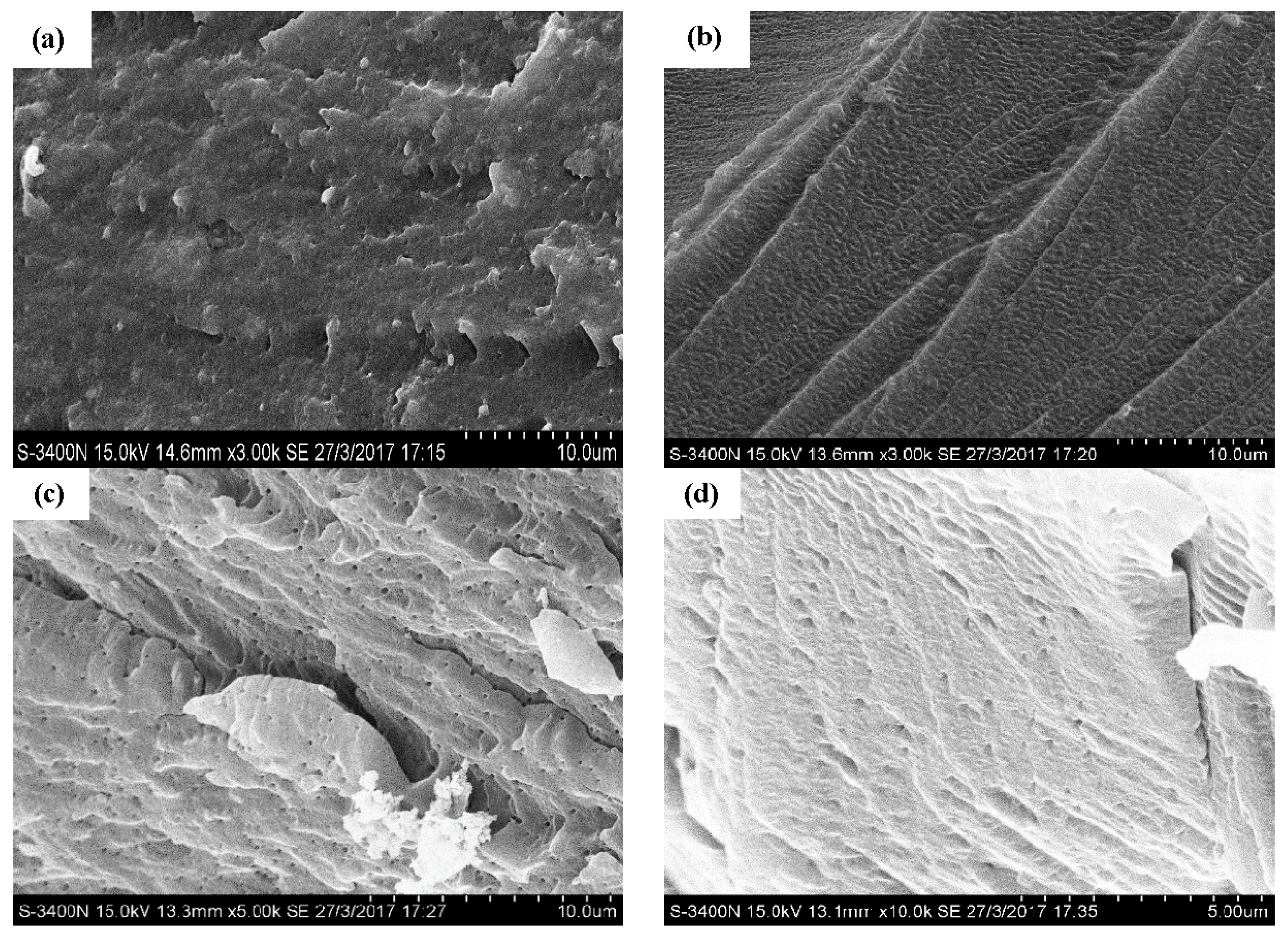 Polymers 09 00652 g008 Polymers 09 00652 g008