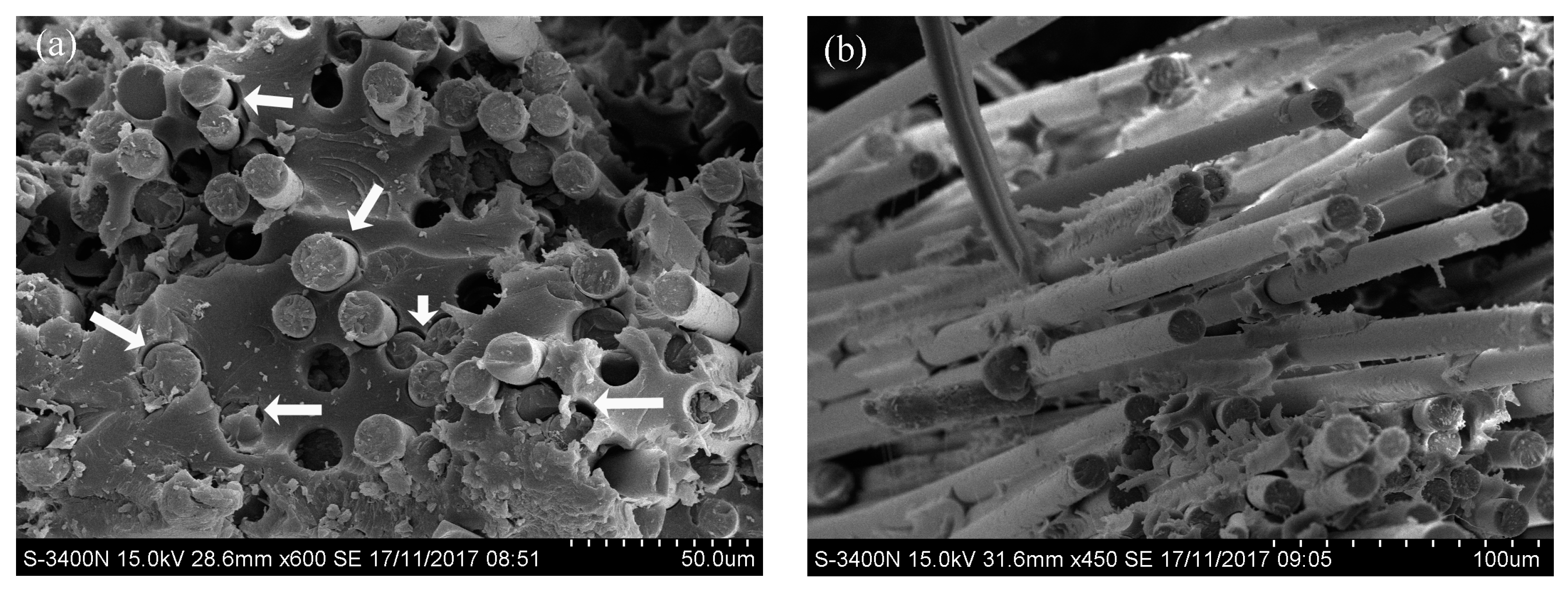 Polymers 09 00652 g011 Polymers 09 00652 g011