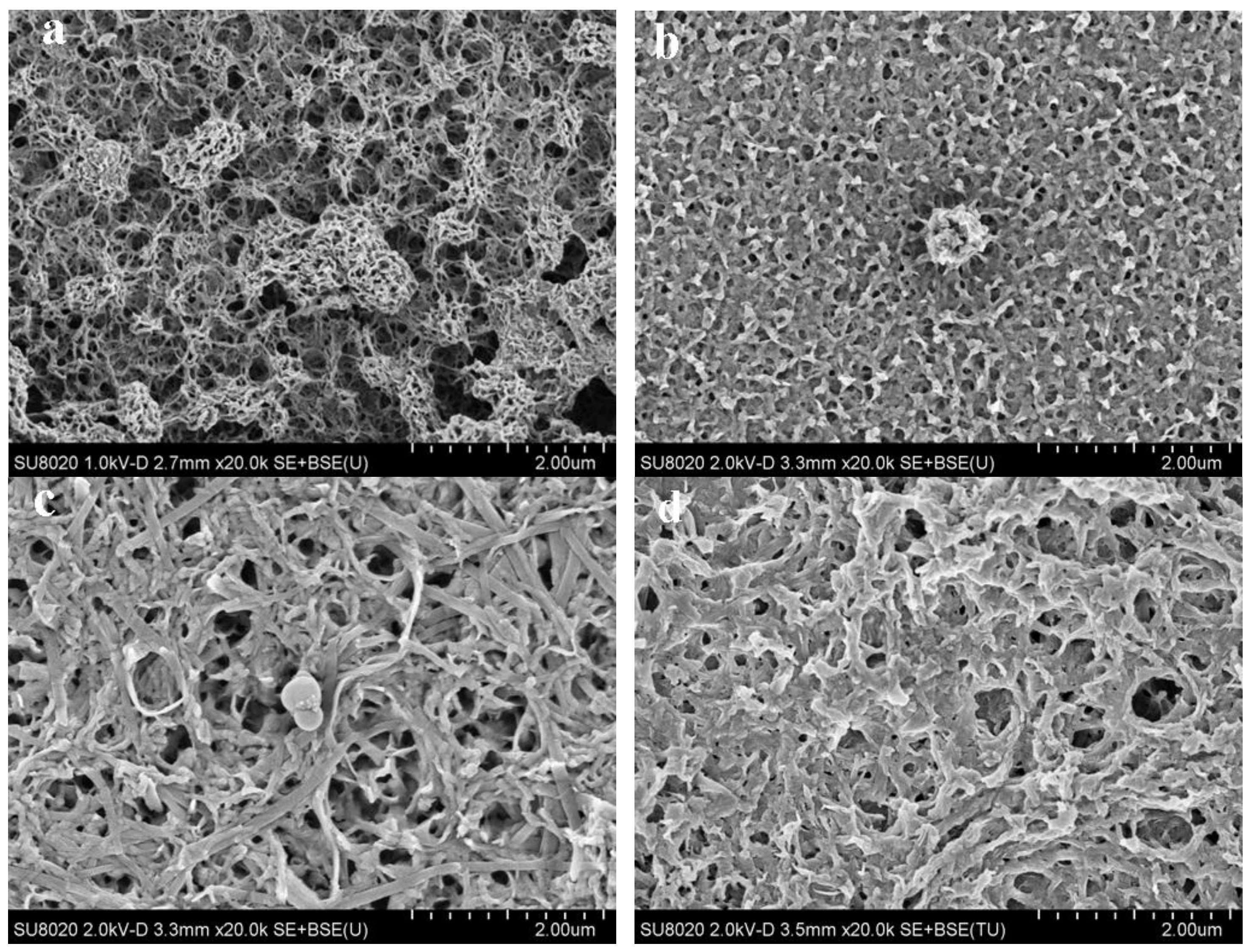 Polymers 09 00656 g004 Polymers 09 00656 g004