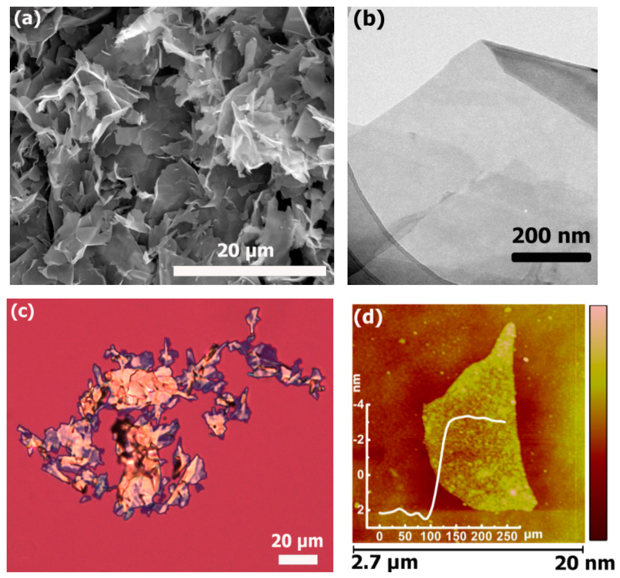 Polymers 09 00662 g001