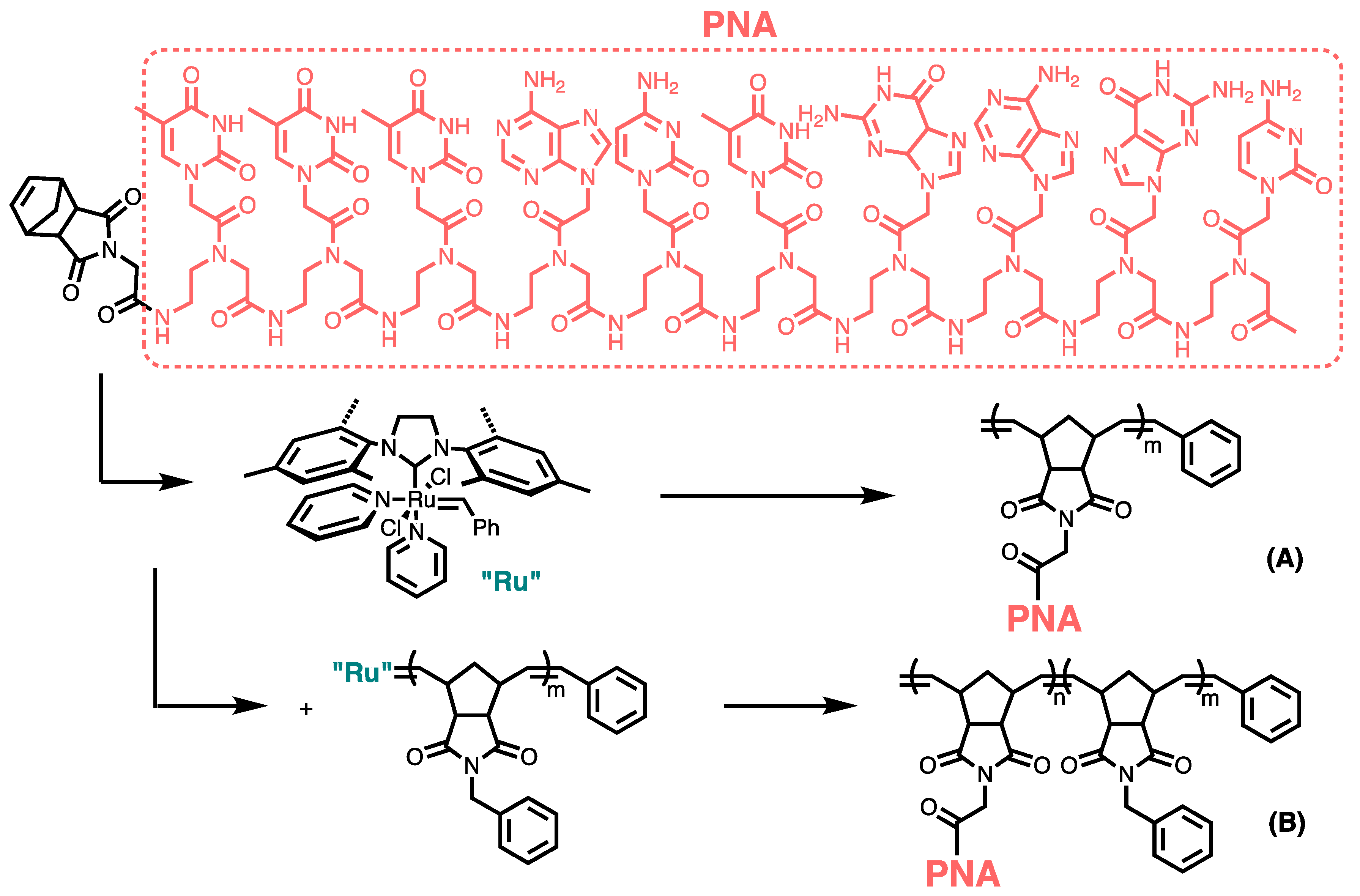 Polymers 09 00666 g008