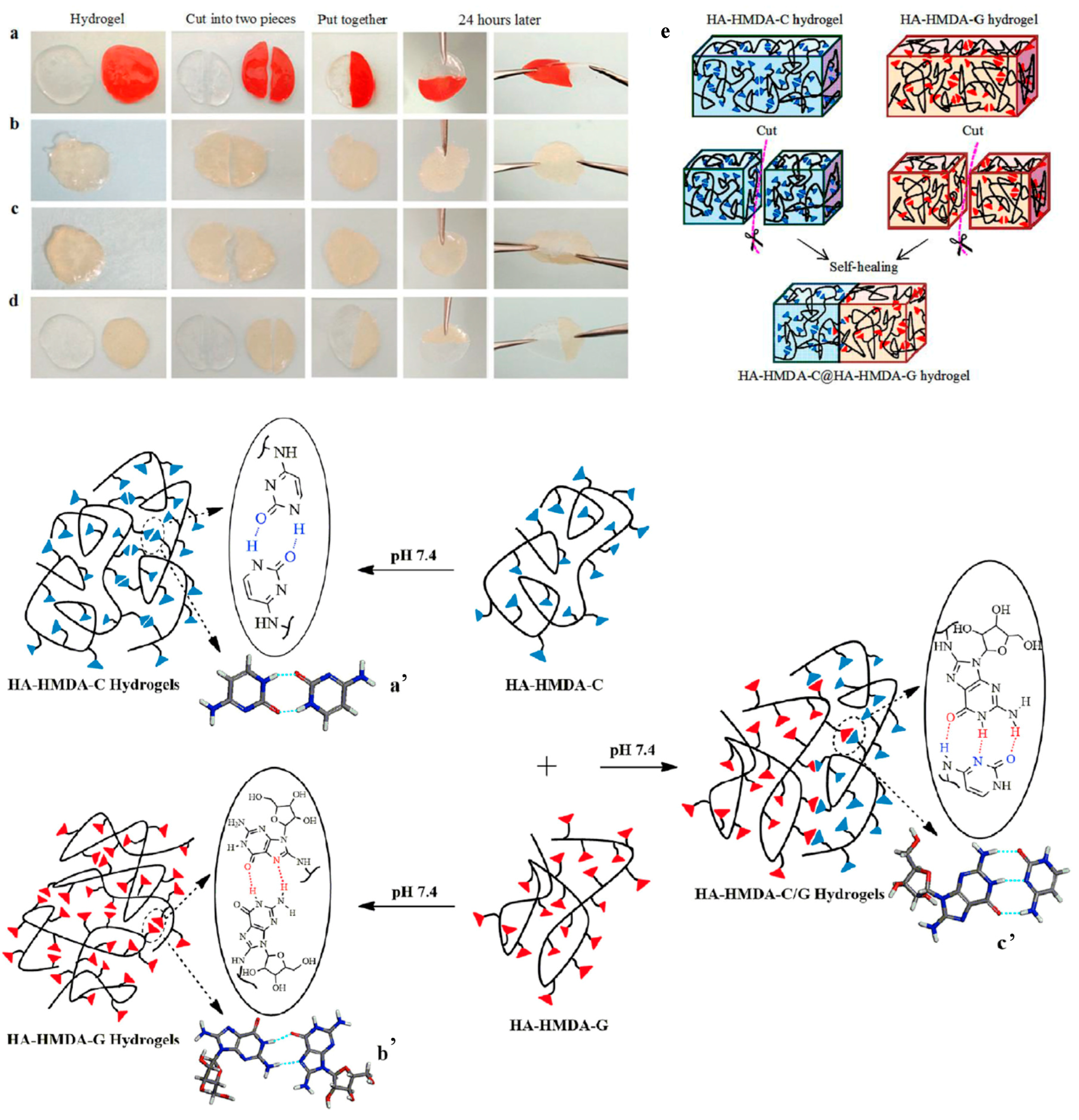 Polymers 09 00666 g012