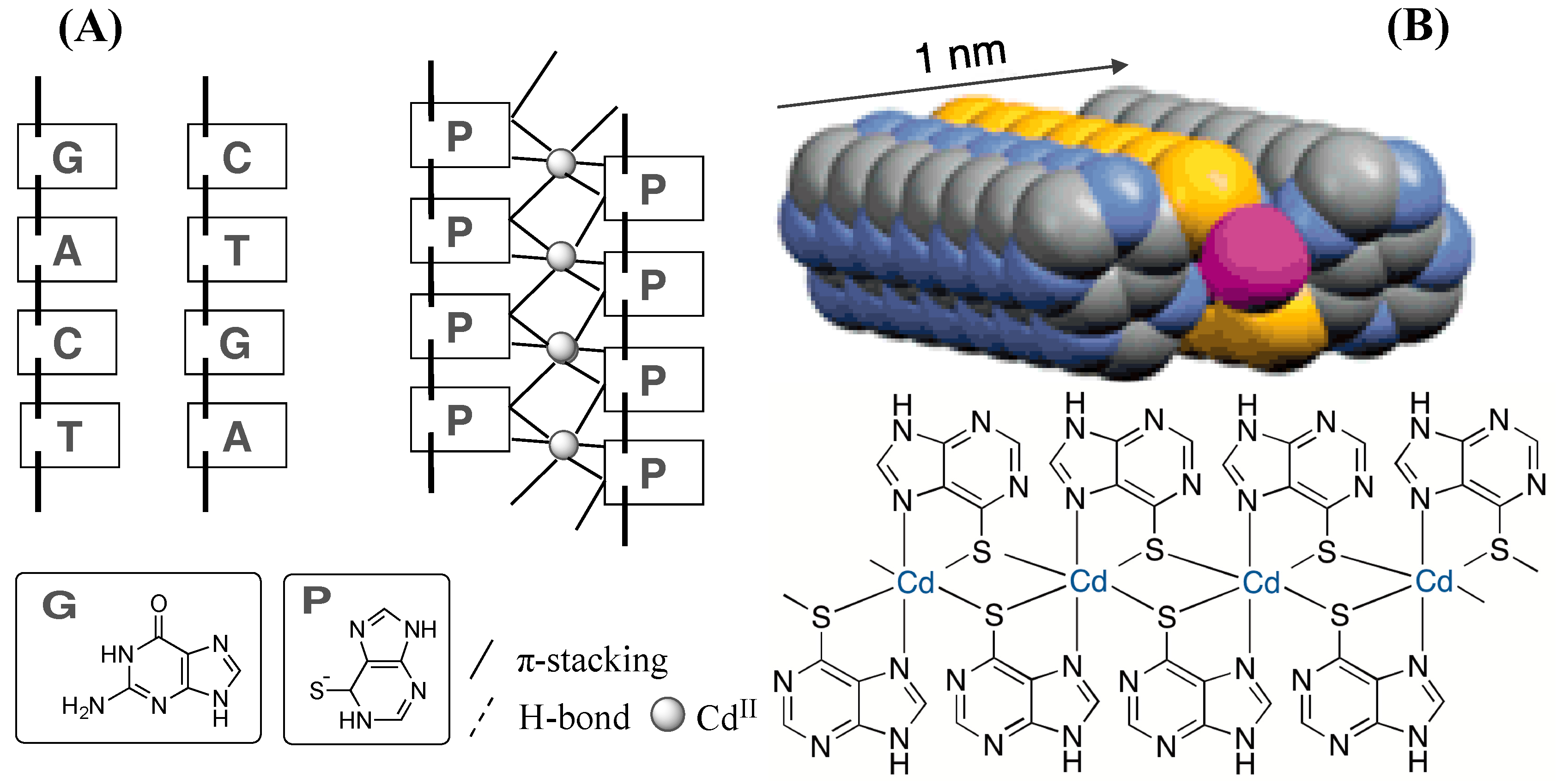 Polymers 09 00666 g014