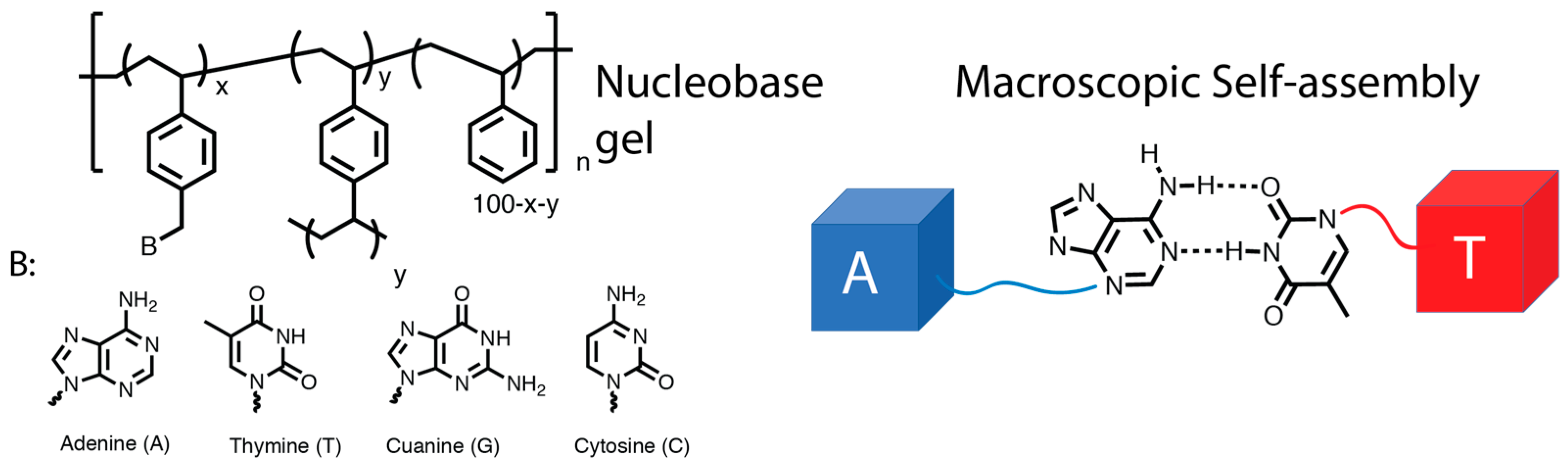Polymers 09 00666 sch004