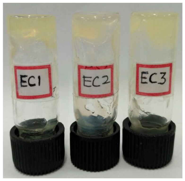 Polymers 09 00667 g003