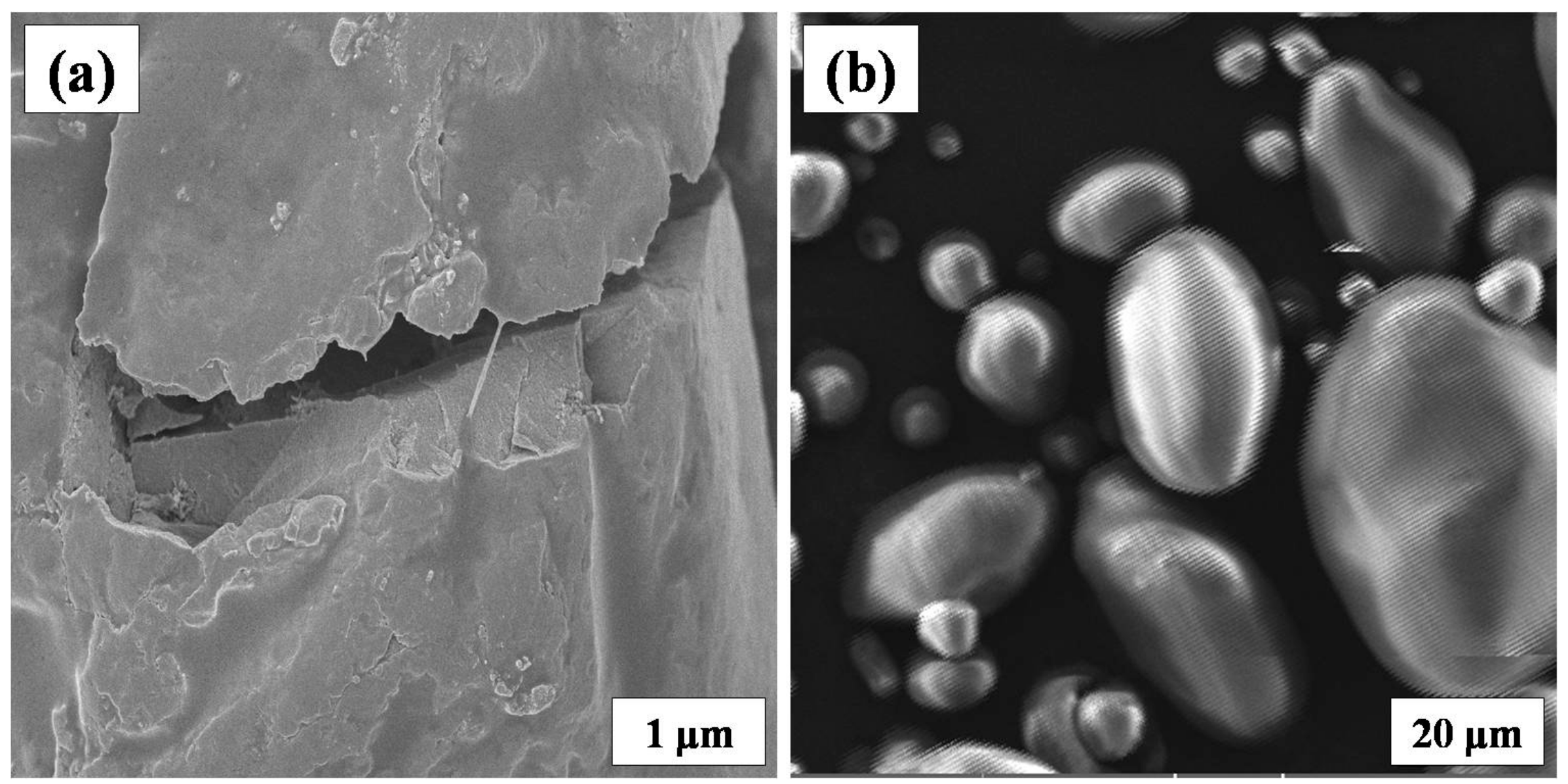 Polymers 09 00667 g008
