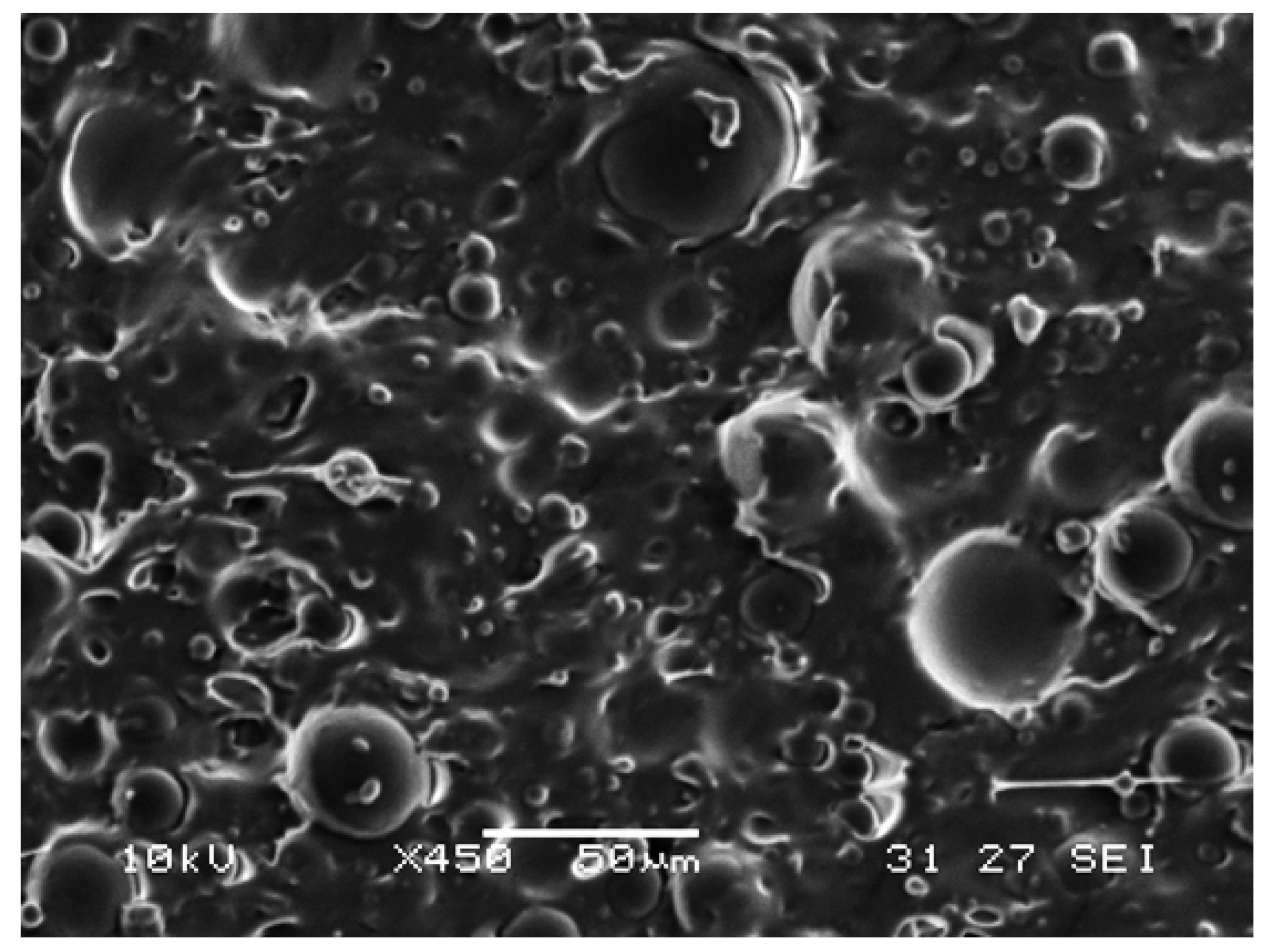Polymers 09 00674 g003 Polymers 09 00674 g003