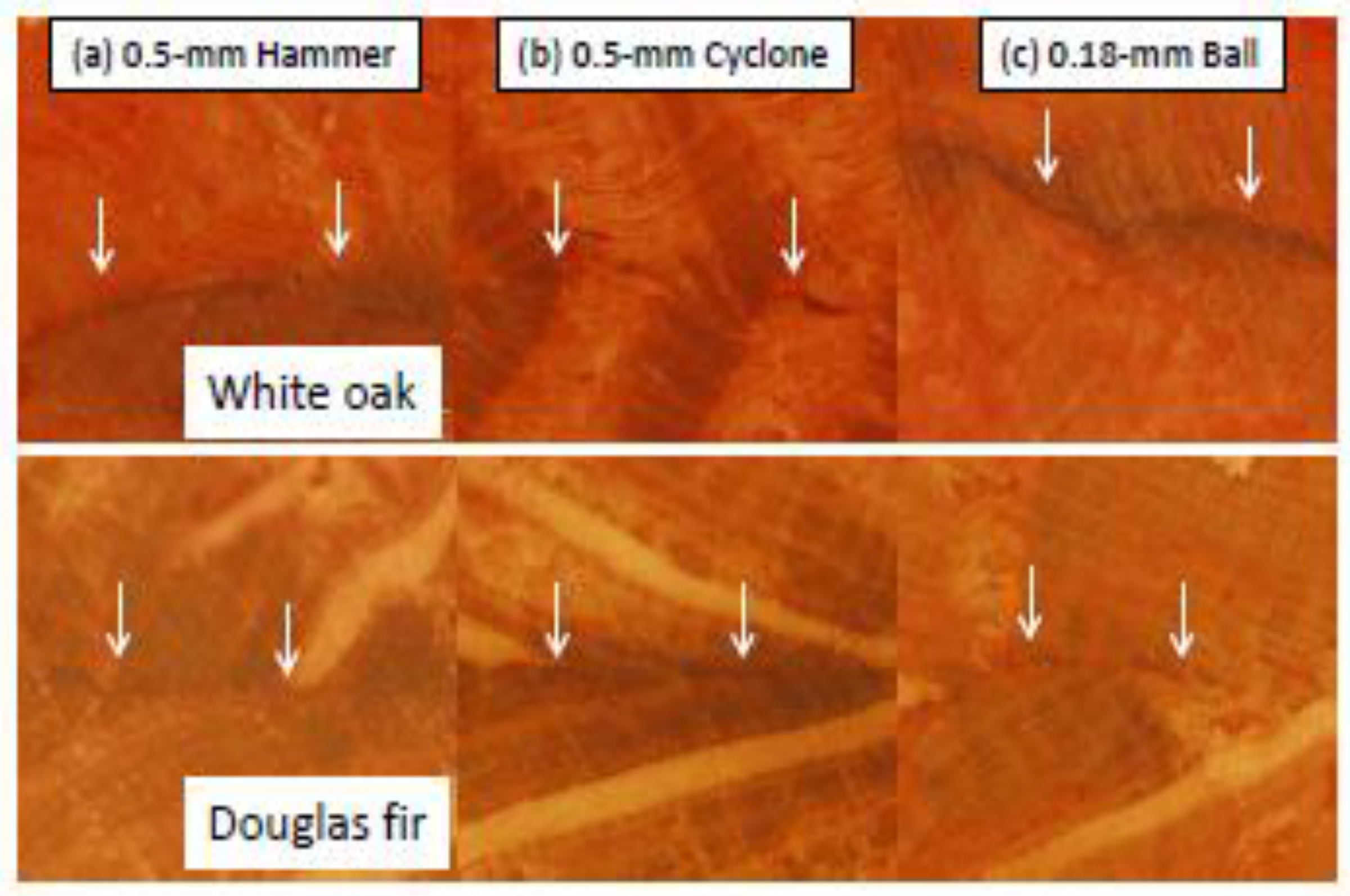 Polymers 09 00675 g006