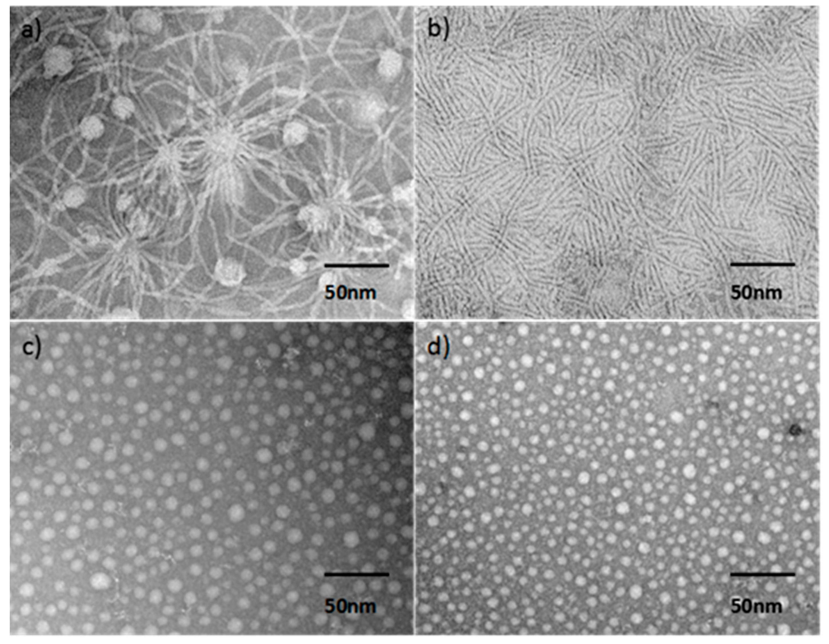 Polymers 09 00685 g006