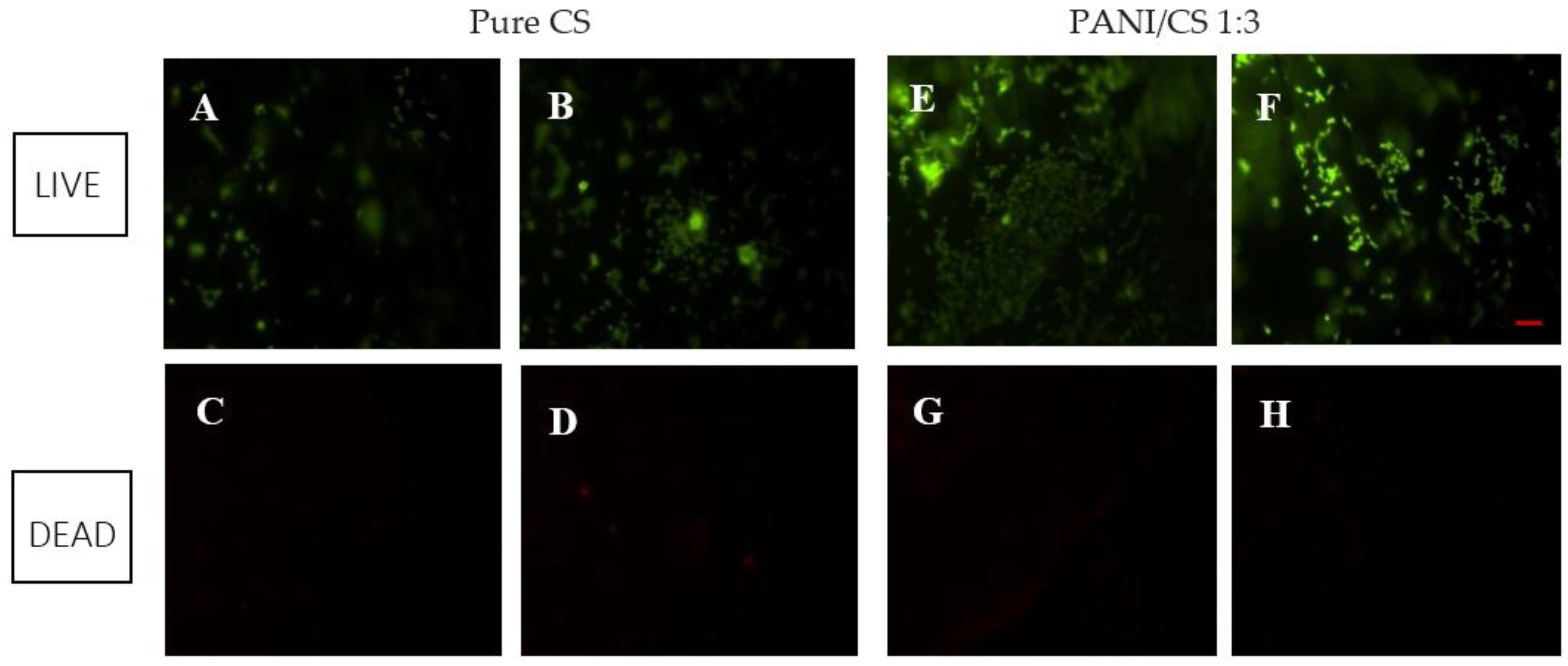 Polymers 09 00687 g004