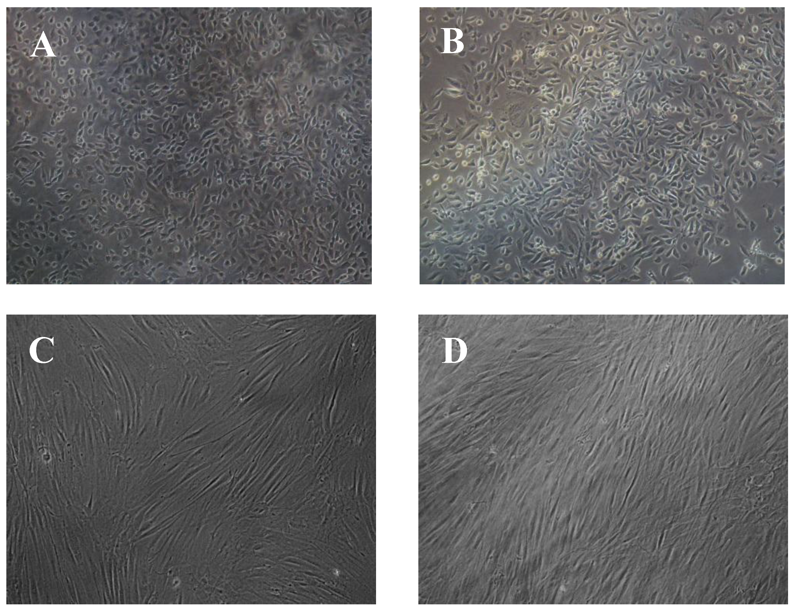 Polymers 09 00687 g006