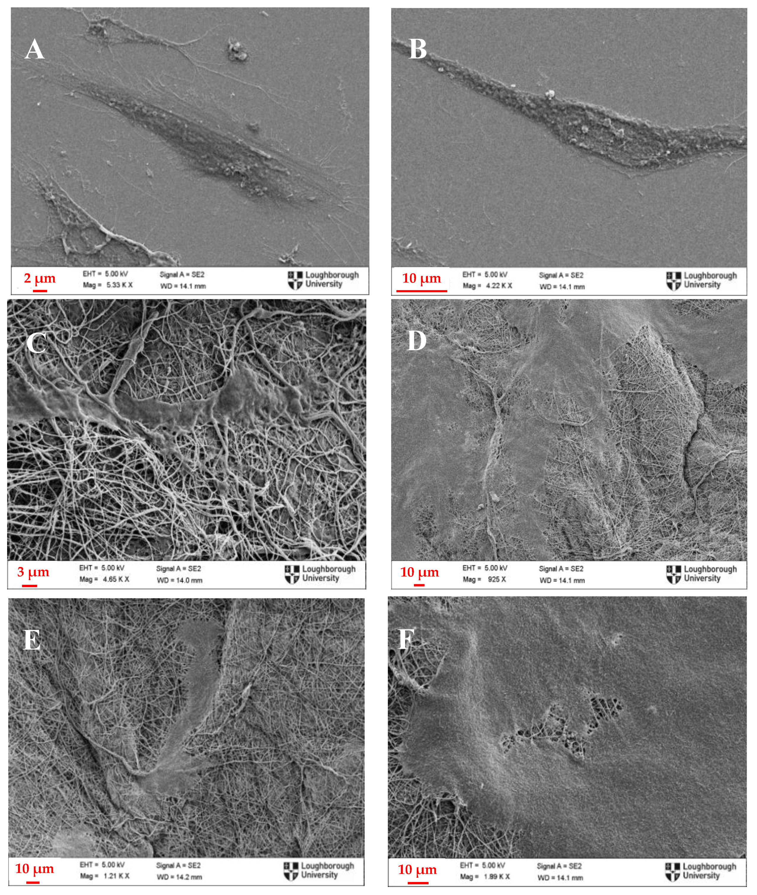 Polymers 09 00687 g008