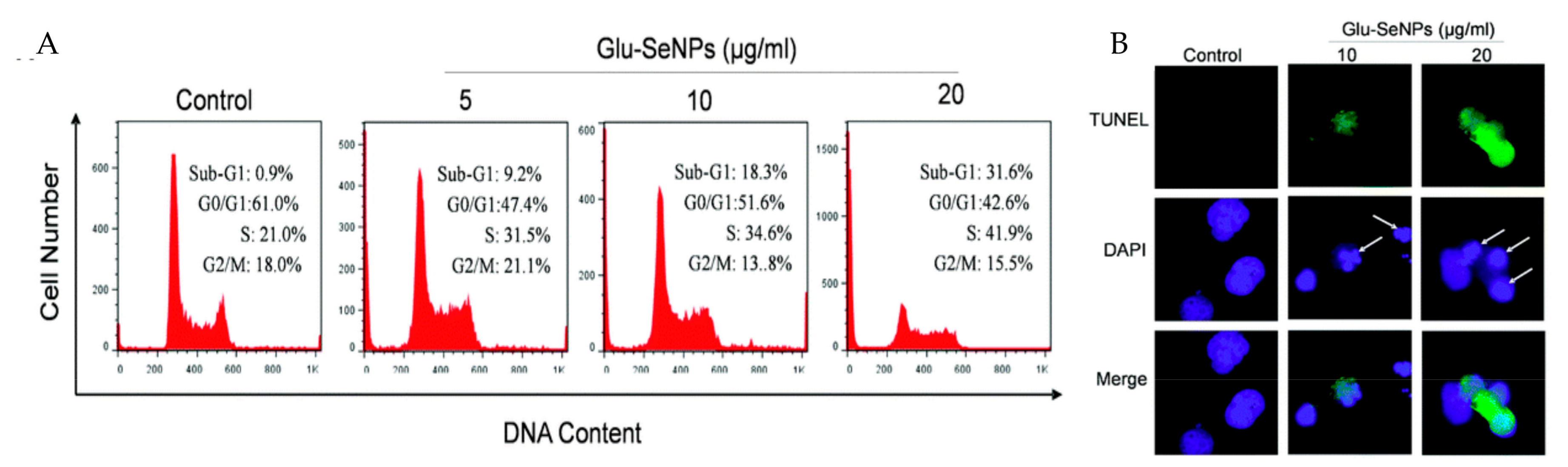 Polymers 09 00689 g005 Polymers 09 00689 g005