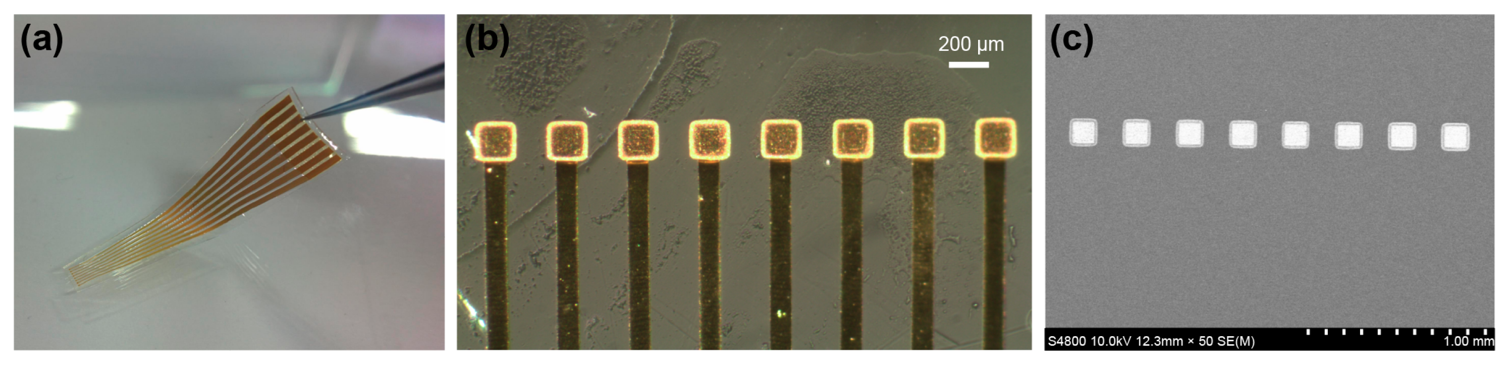 Polymers 09 00690 g003