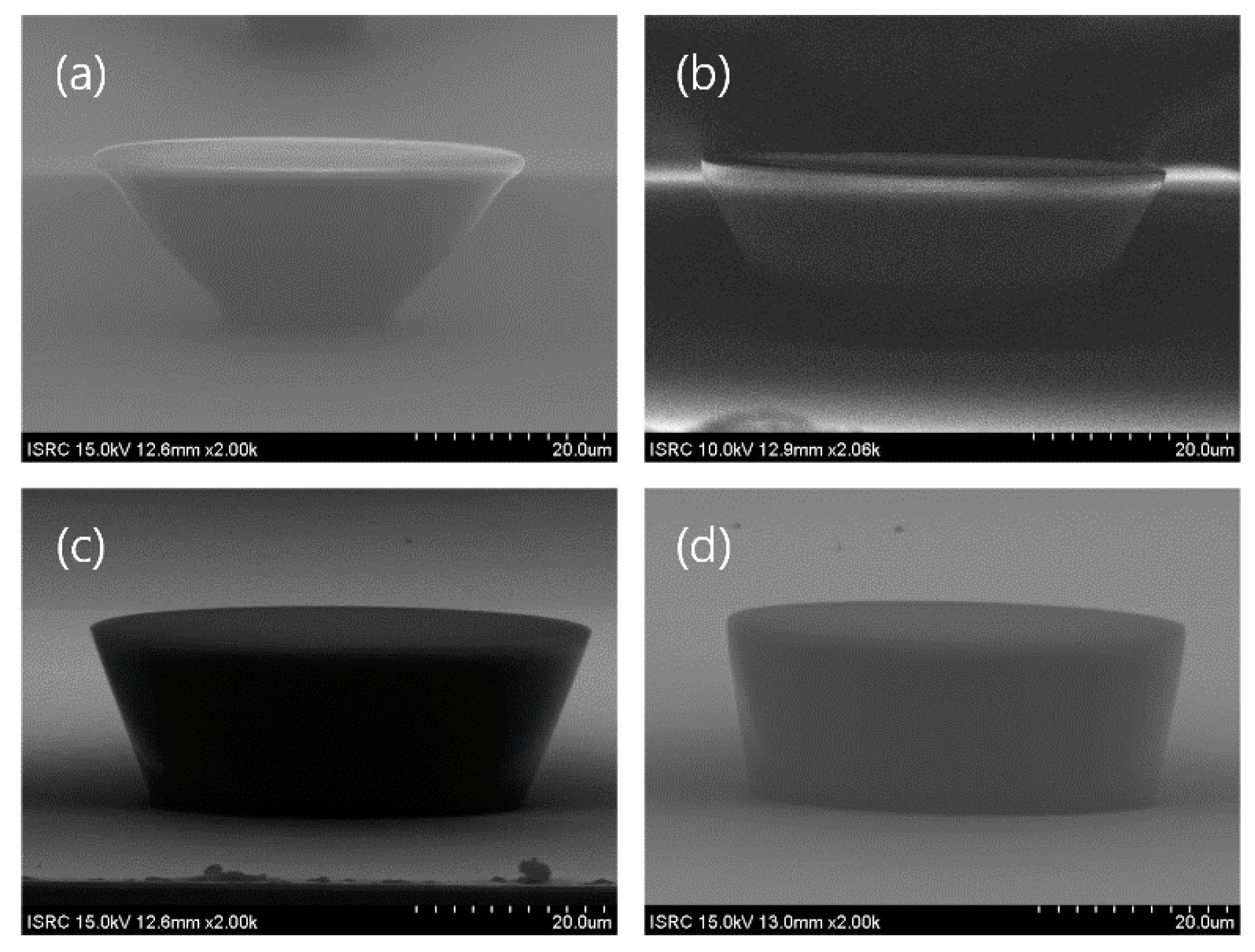 Polymers 09 00690 g004