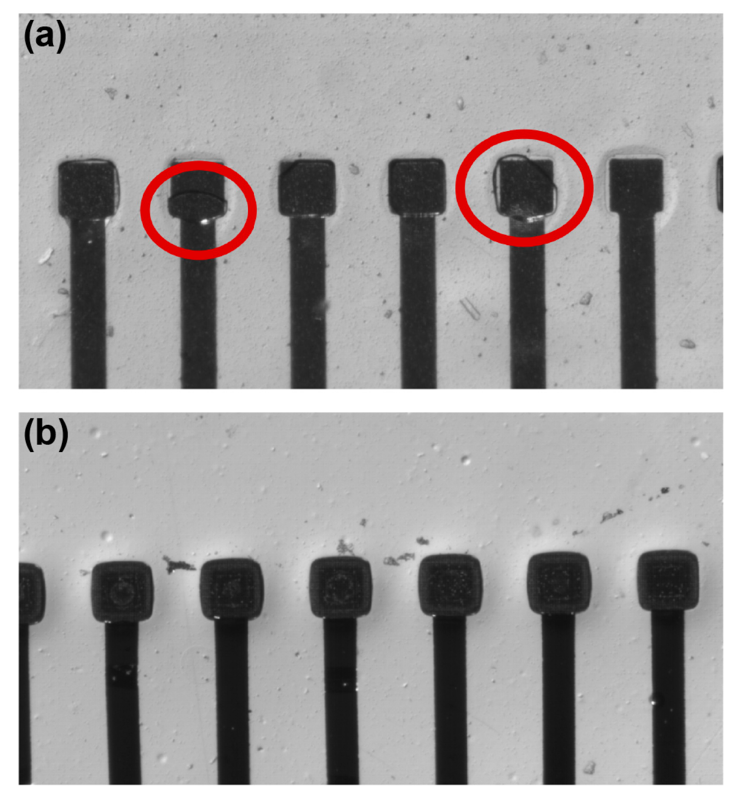 Polymers 09 00690 g009