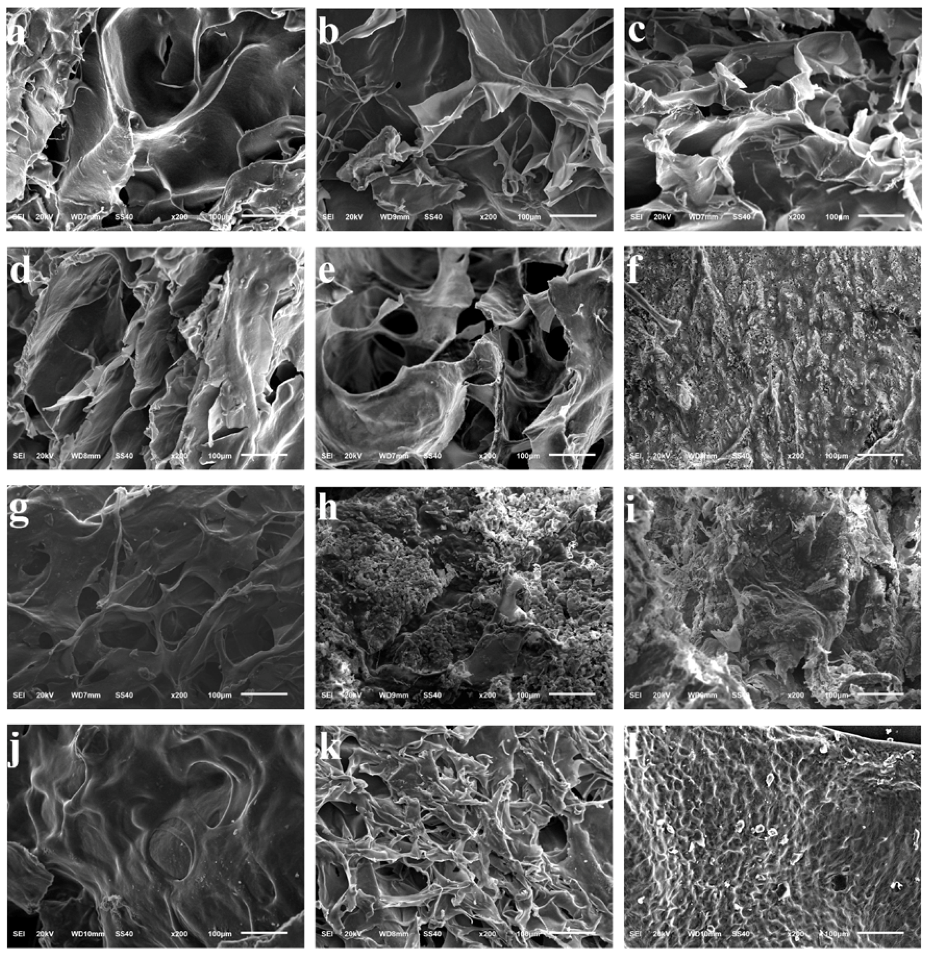 Polymers 09 00695 g005 Polymers 09 00695 g005