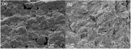 Polymers 09 00709 g007a Polymers 09 00709 g007a