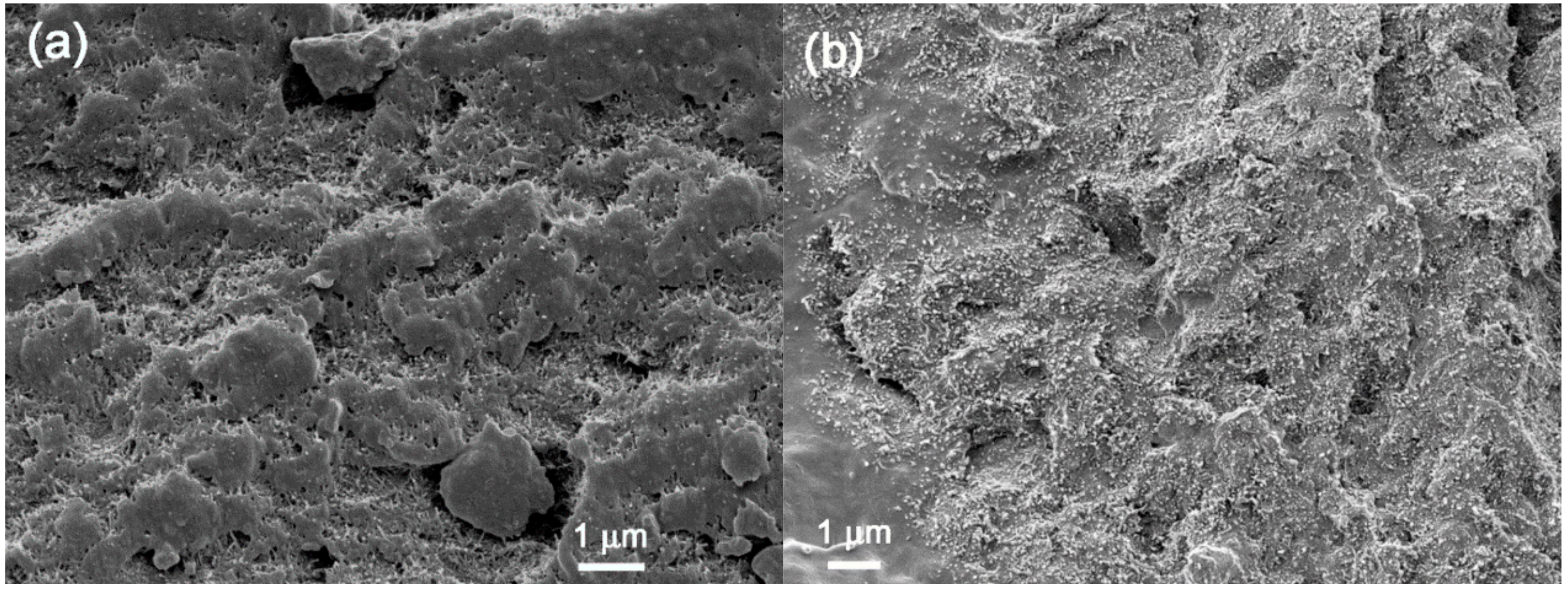 Polymers 09 00709 g007a Polymers 09 00709 g007a