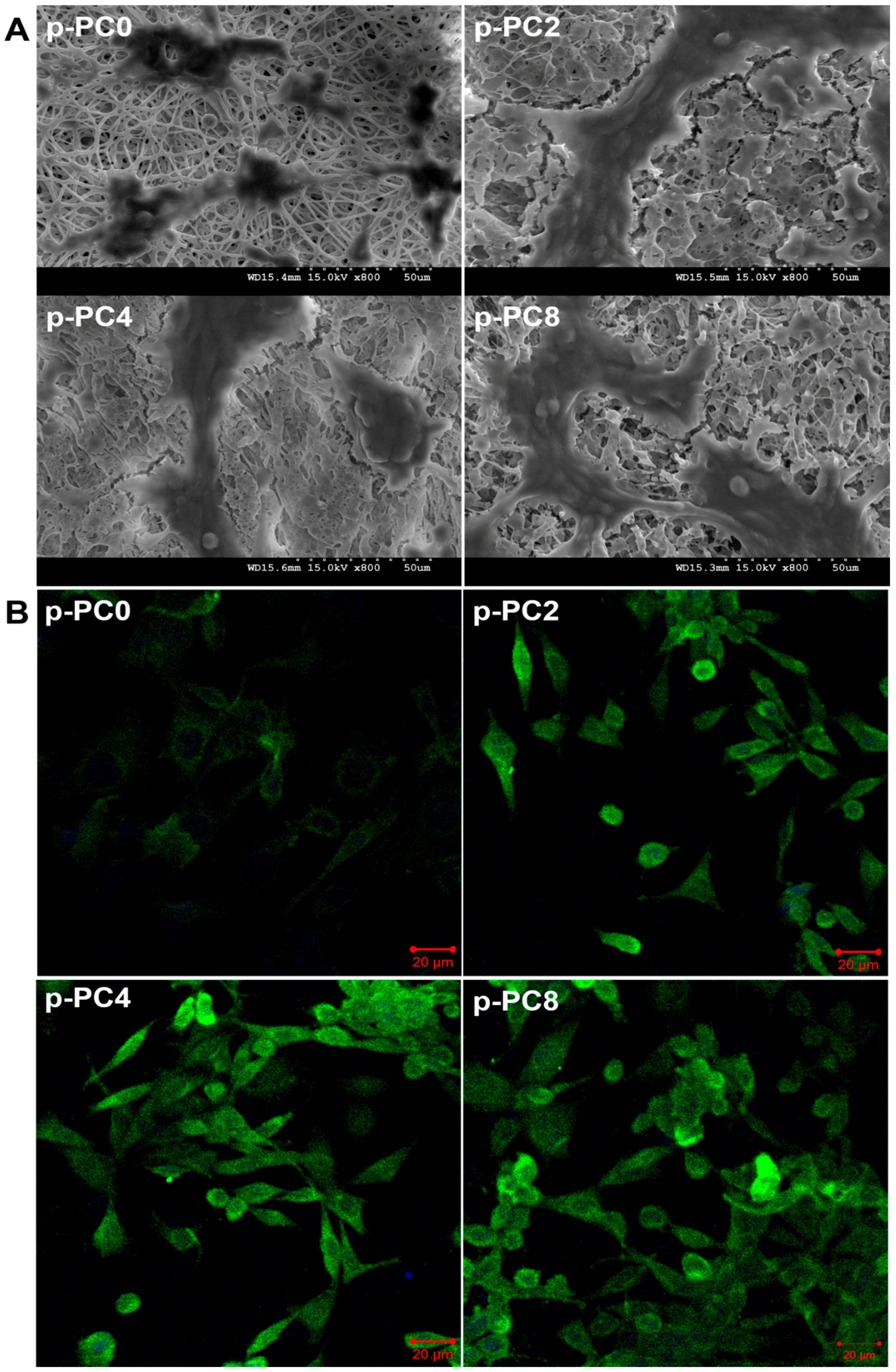 Polymers 09 00713 g008 Polymers 09 00713 g008
