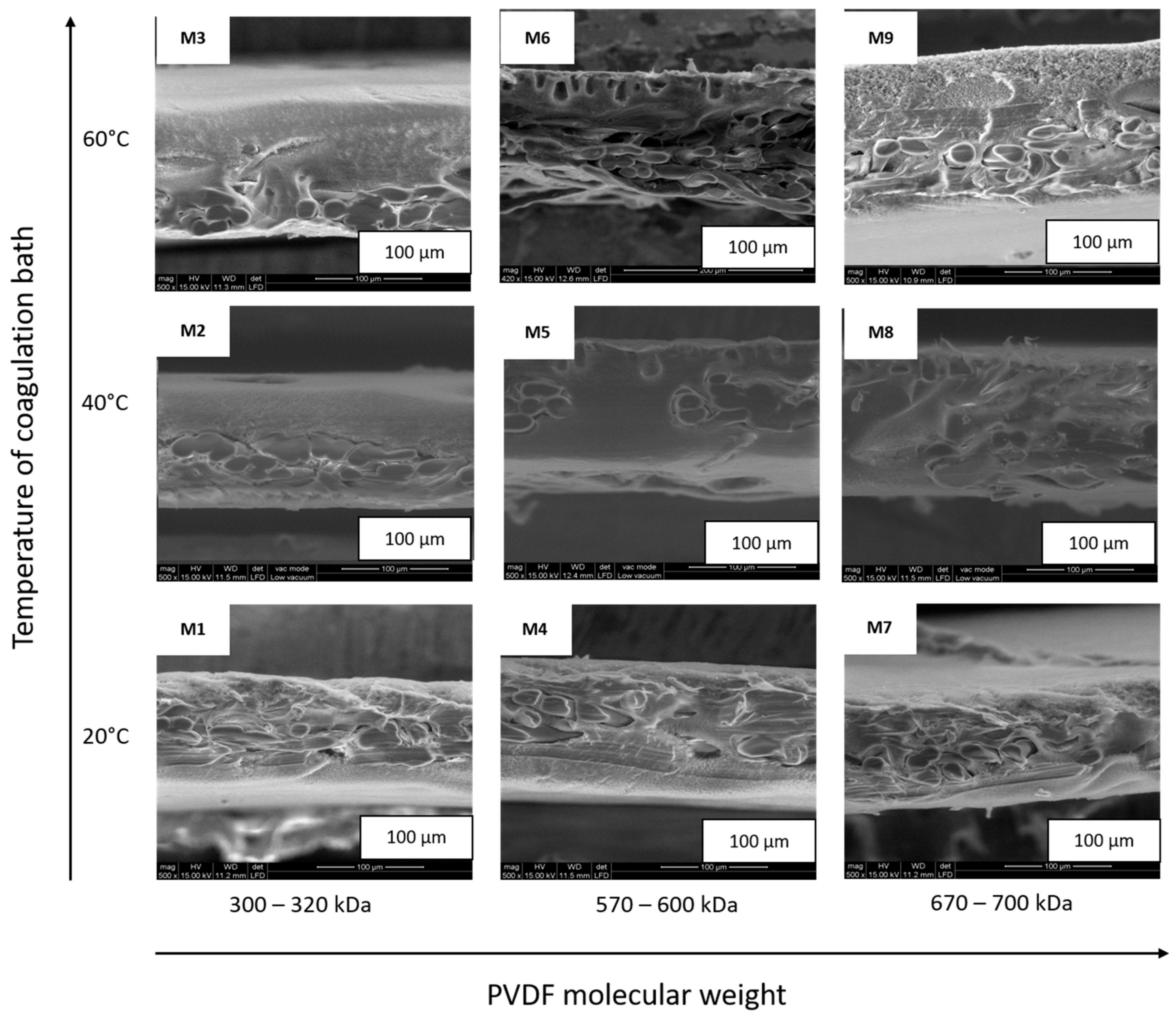 Polymers 09 00718 g005